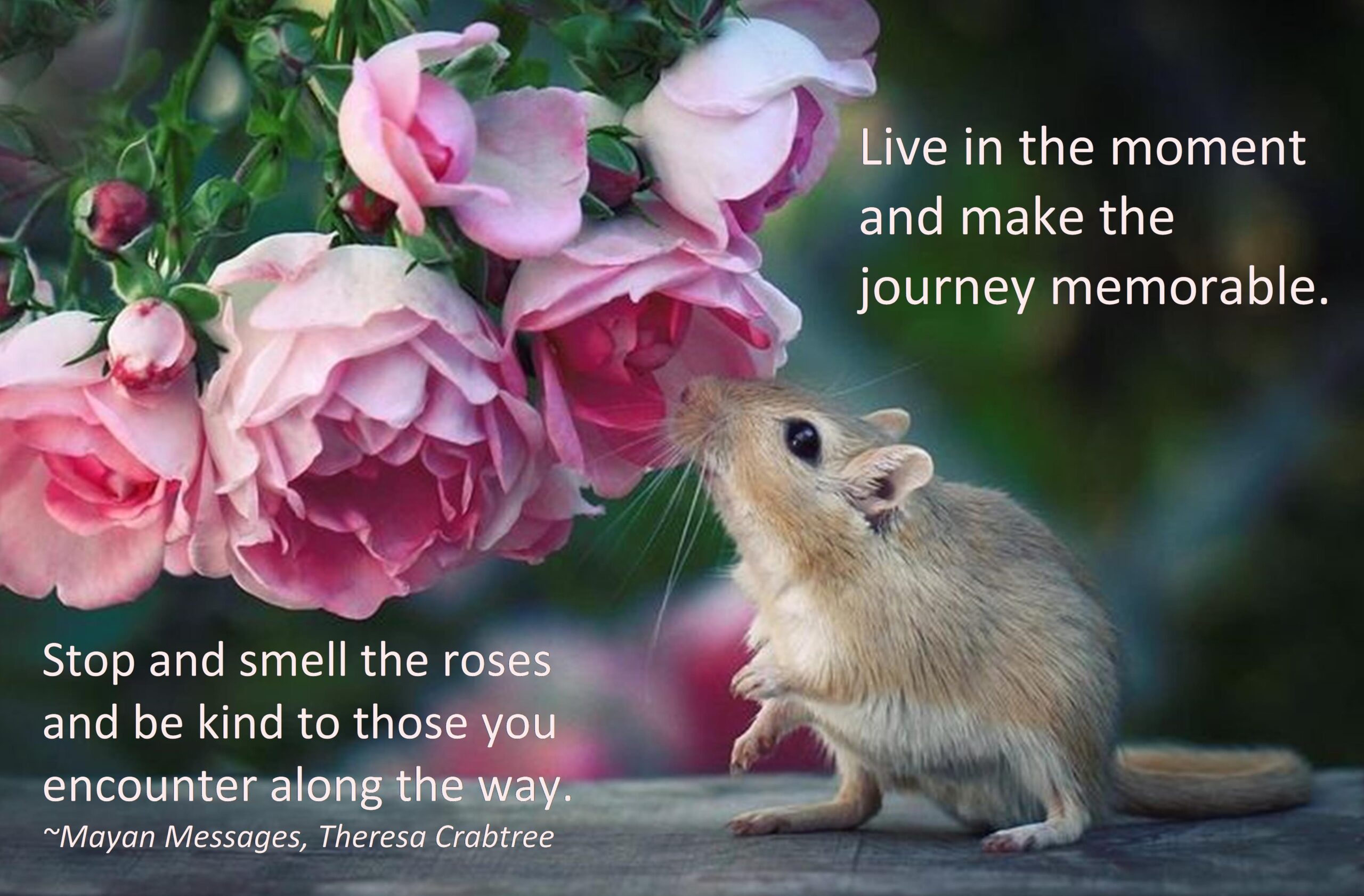 Read more about the article Enjoy the journey!