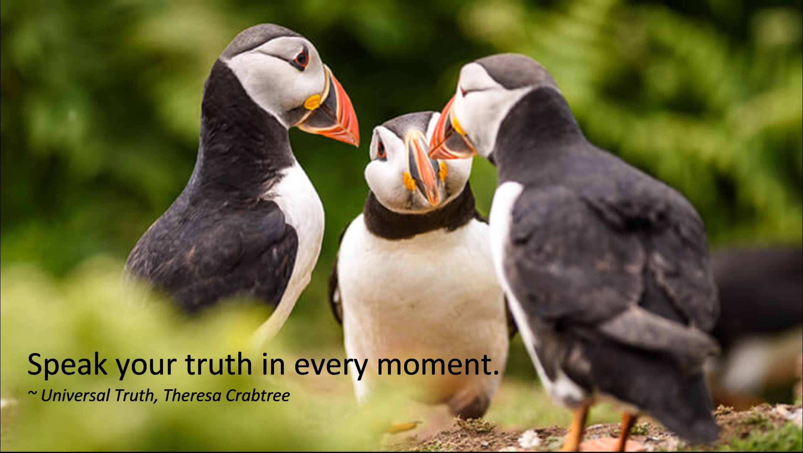 Read more about the article Speak Your Truth