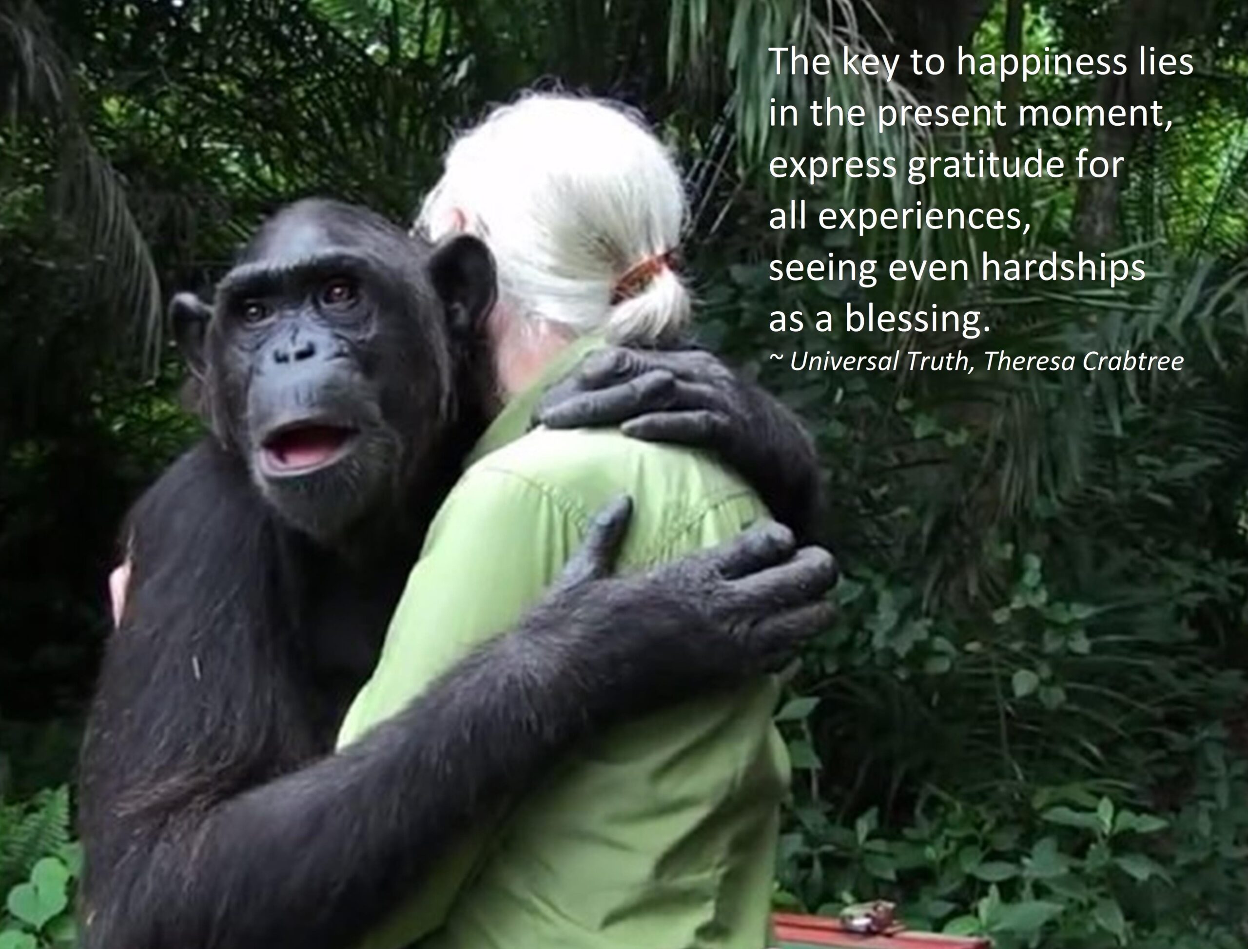 Read more about the article Happiness