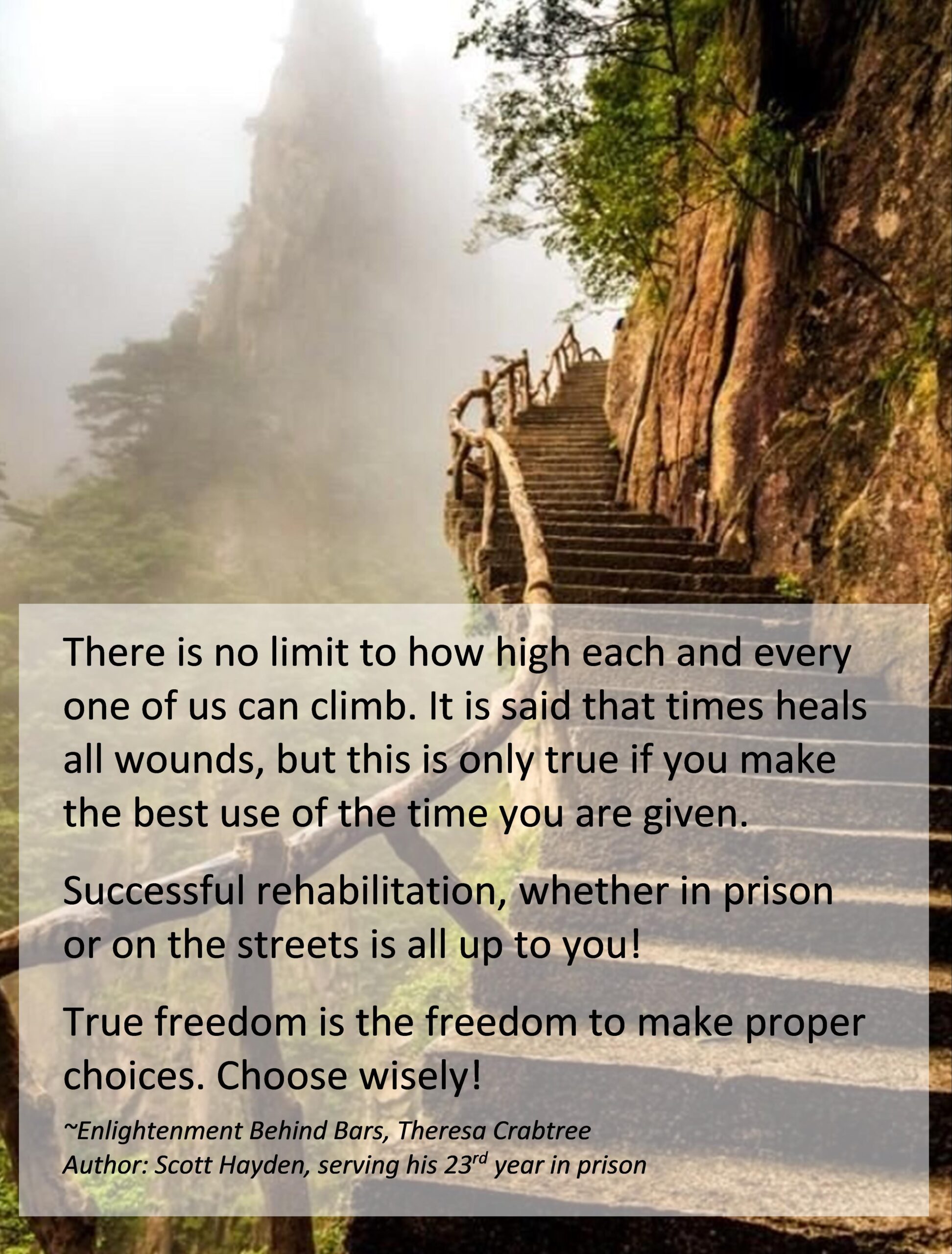 Read more about the article Rehabilitation
