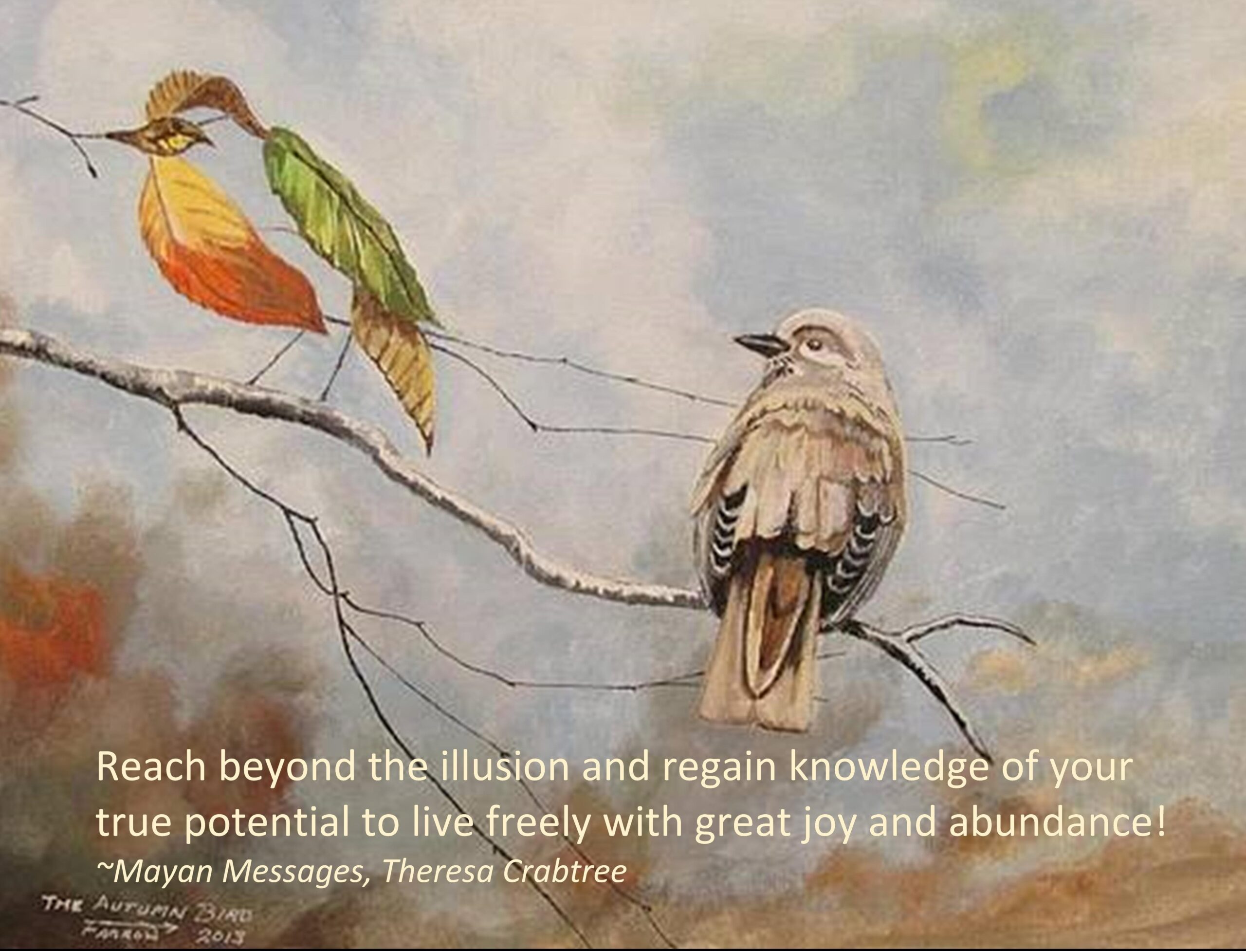 Read more about the article Illusions