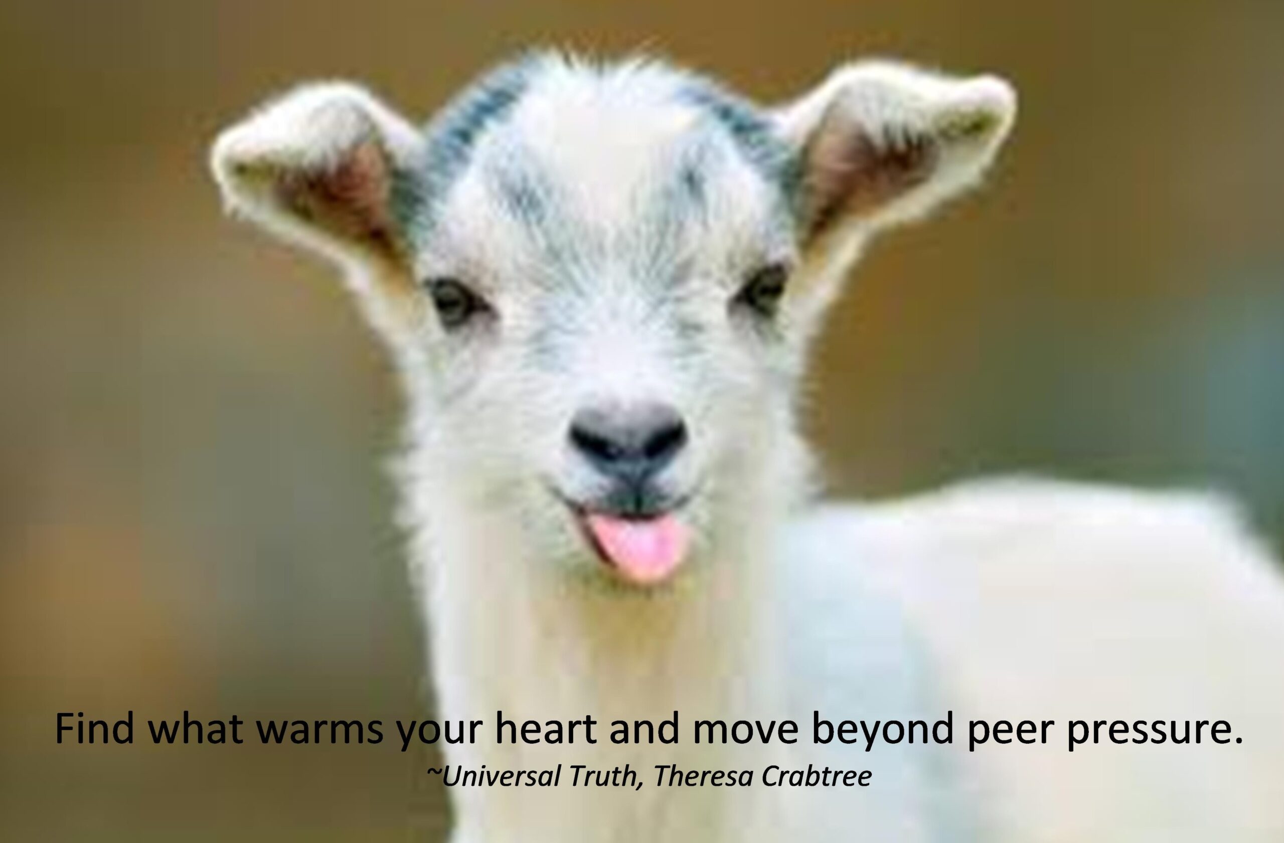 Read more about the article Peer Pressure