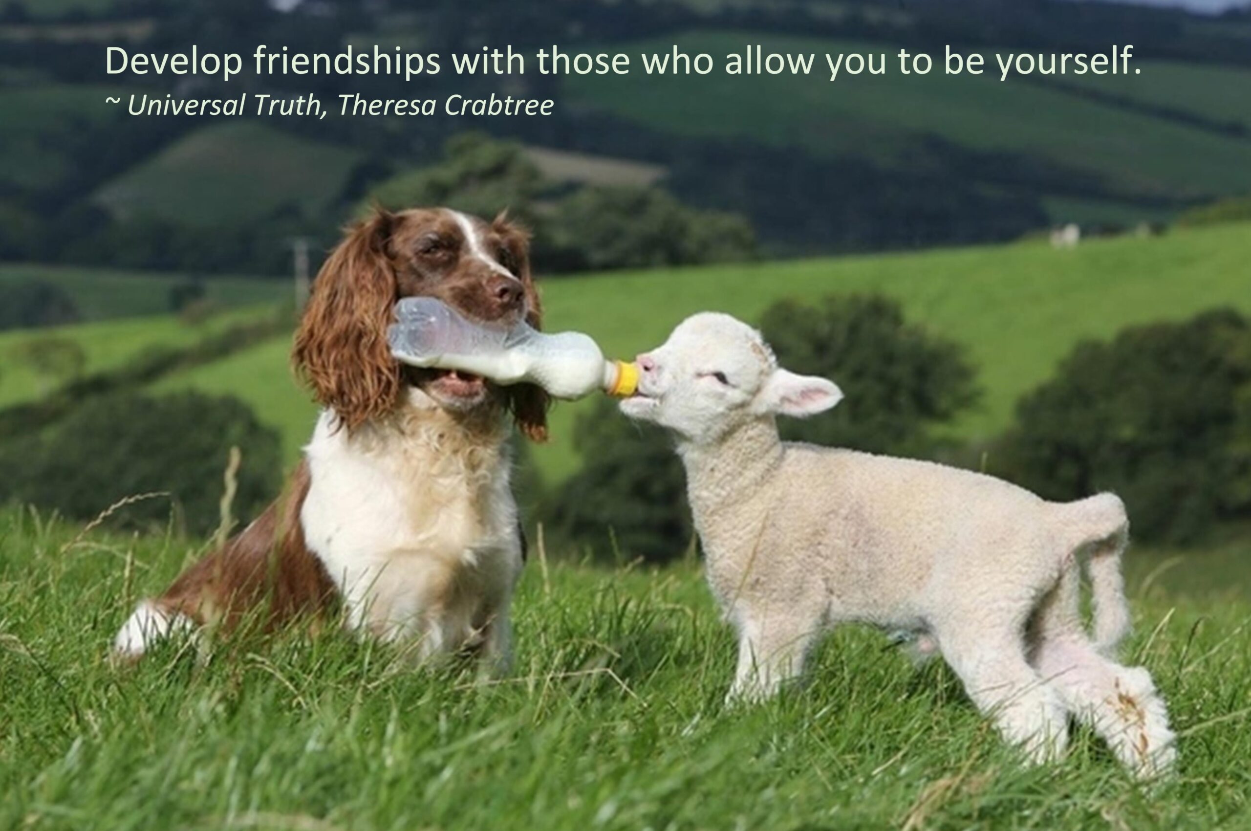 Read more about the article Friendship
