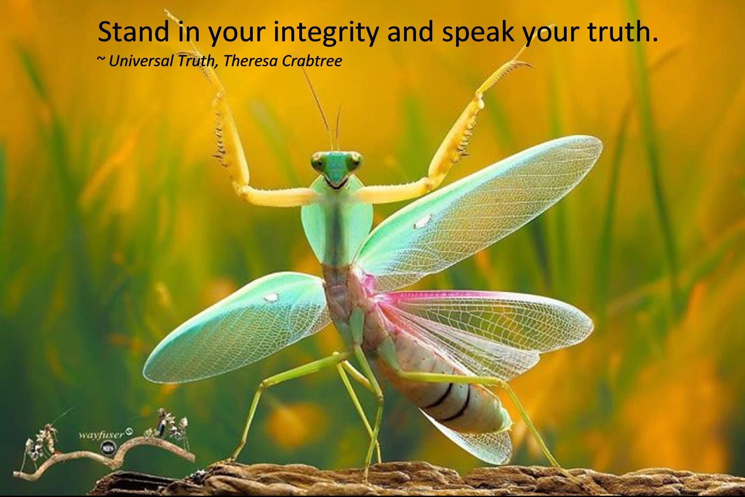 Read more about the article Integrity