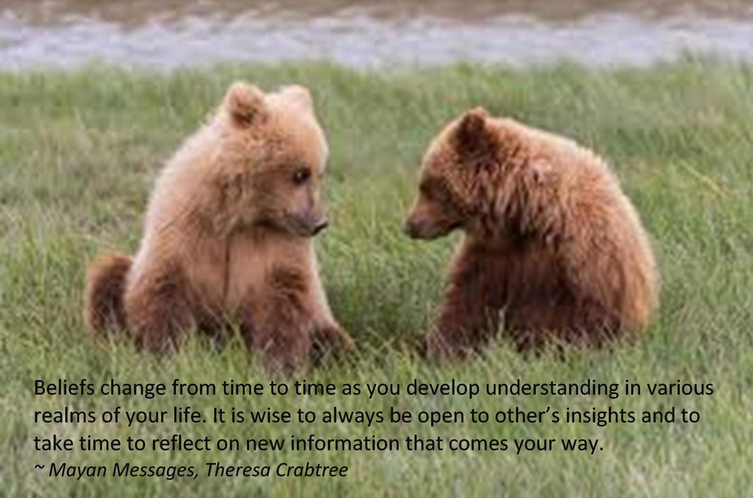 Read more about the article Open-Minded