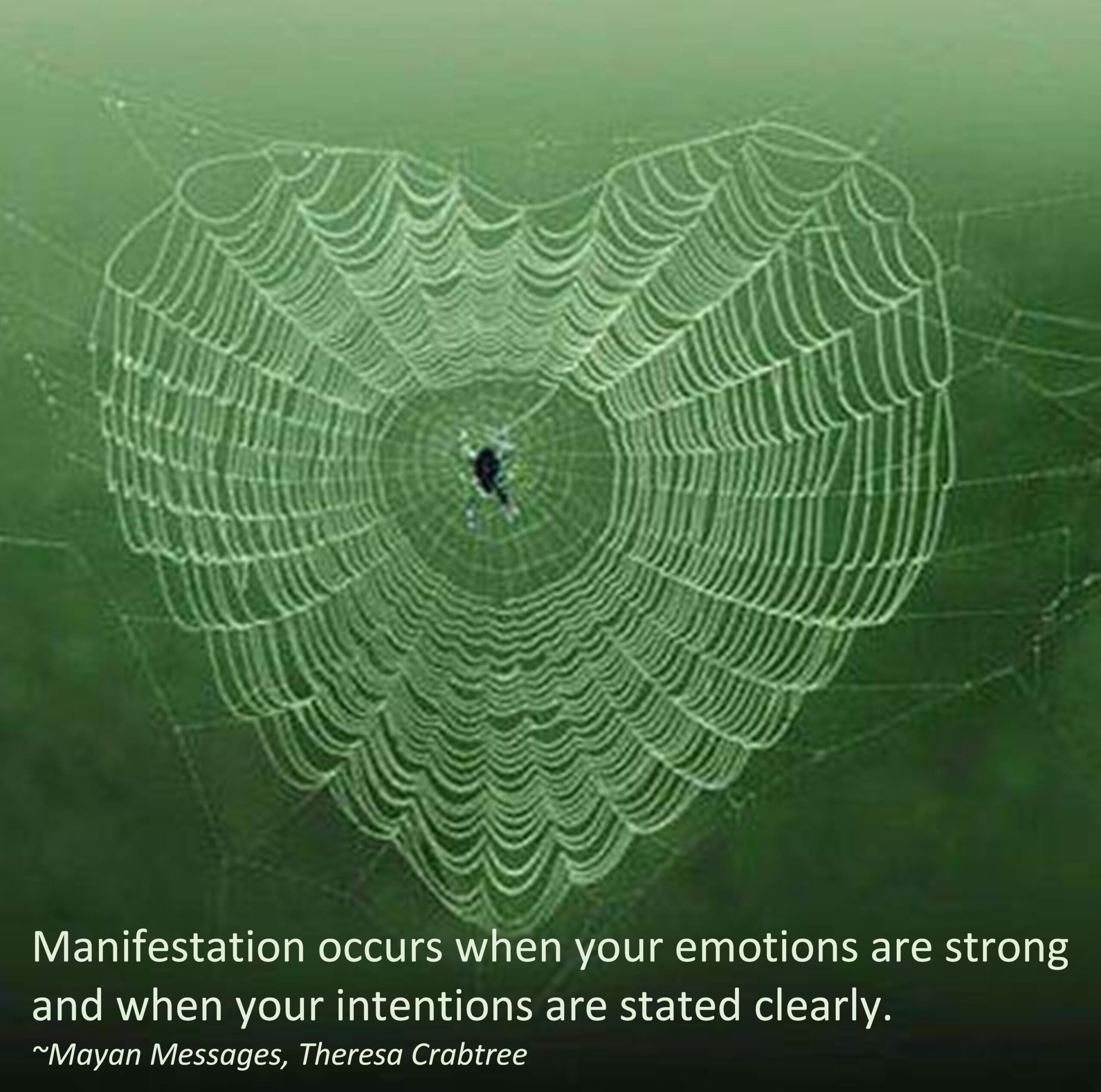 Read more about the article Manifest with Intentions