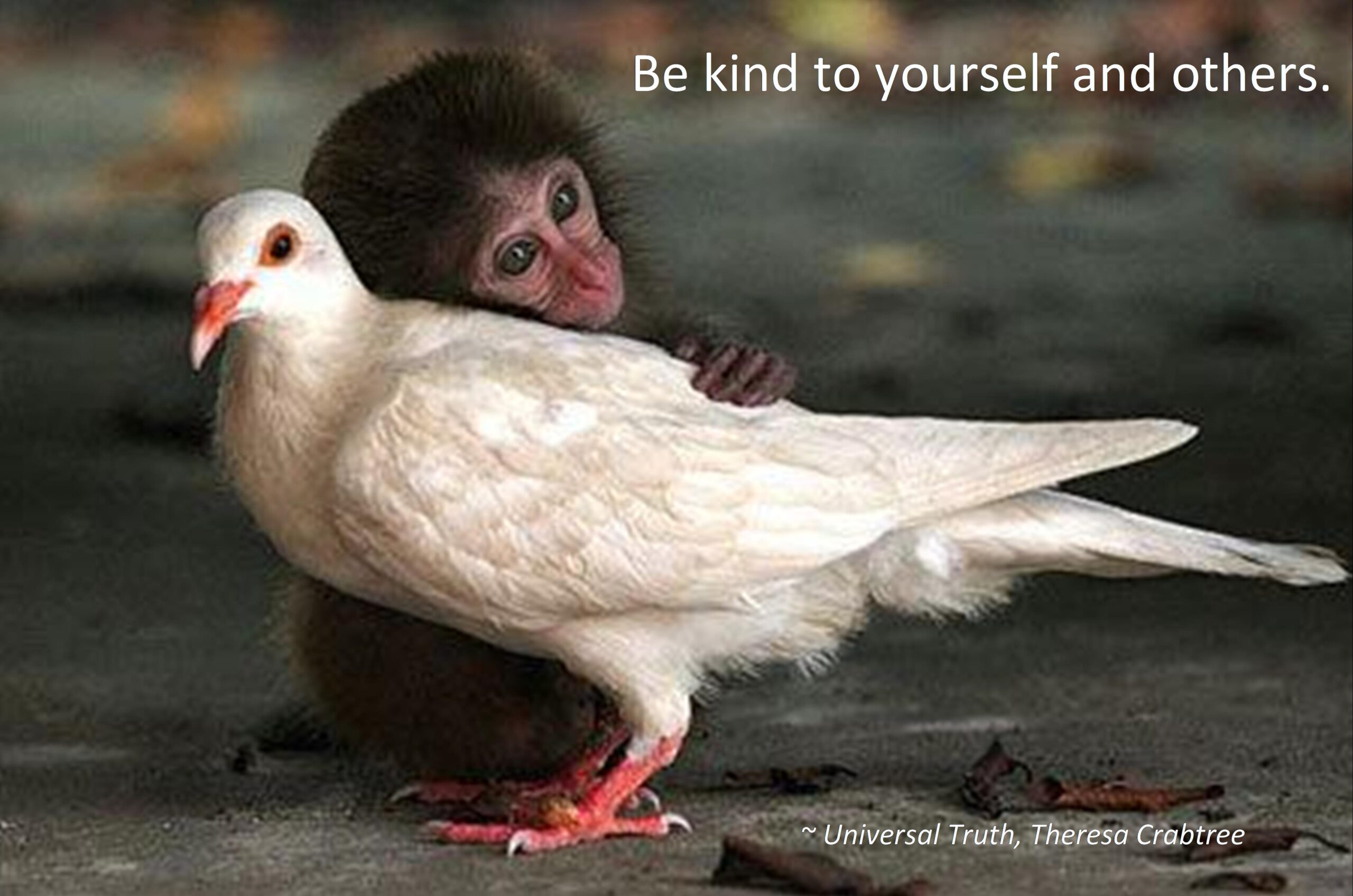 Read more about the article Be Kind