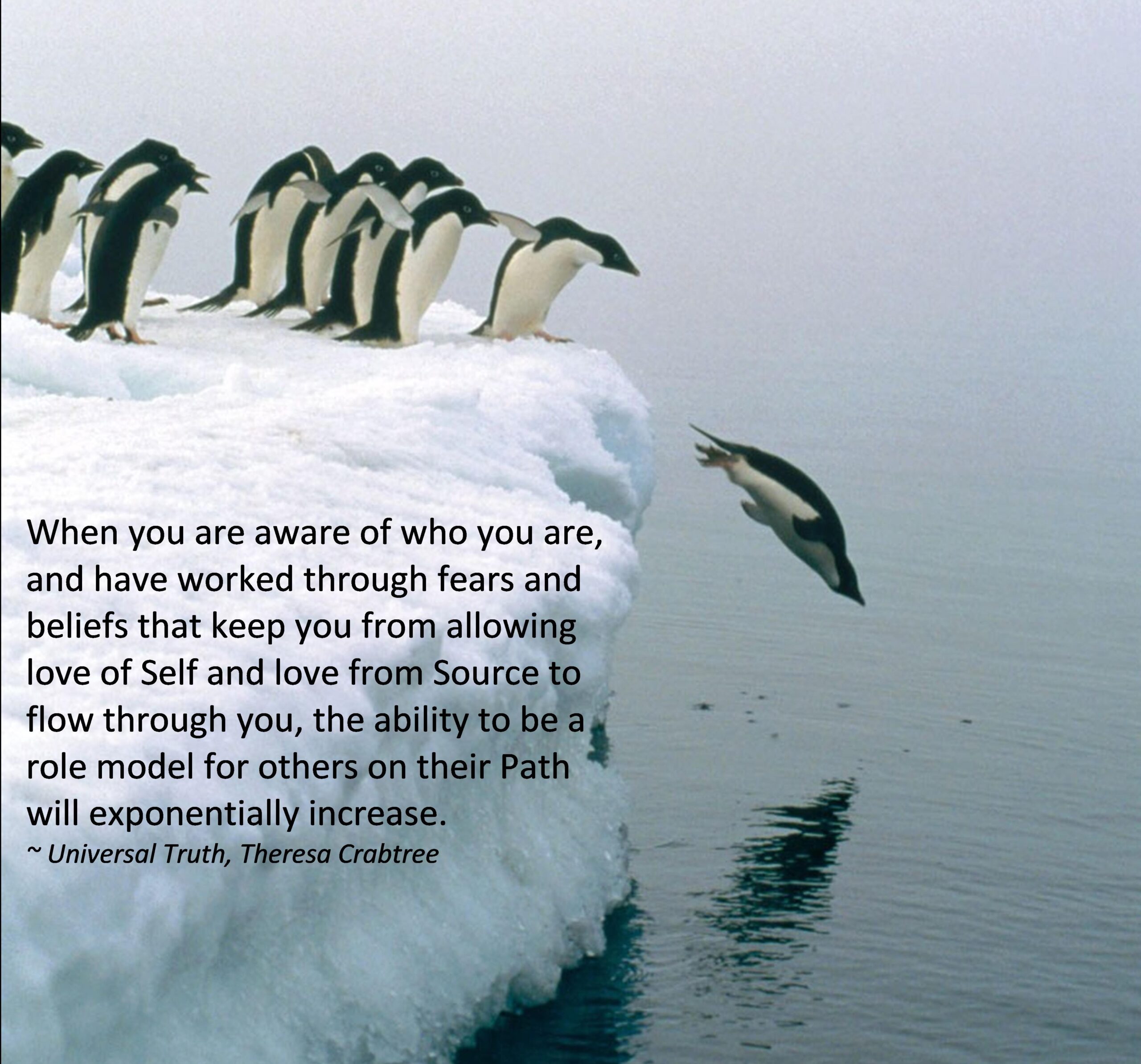 Read more about the article Role Model