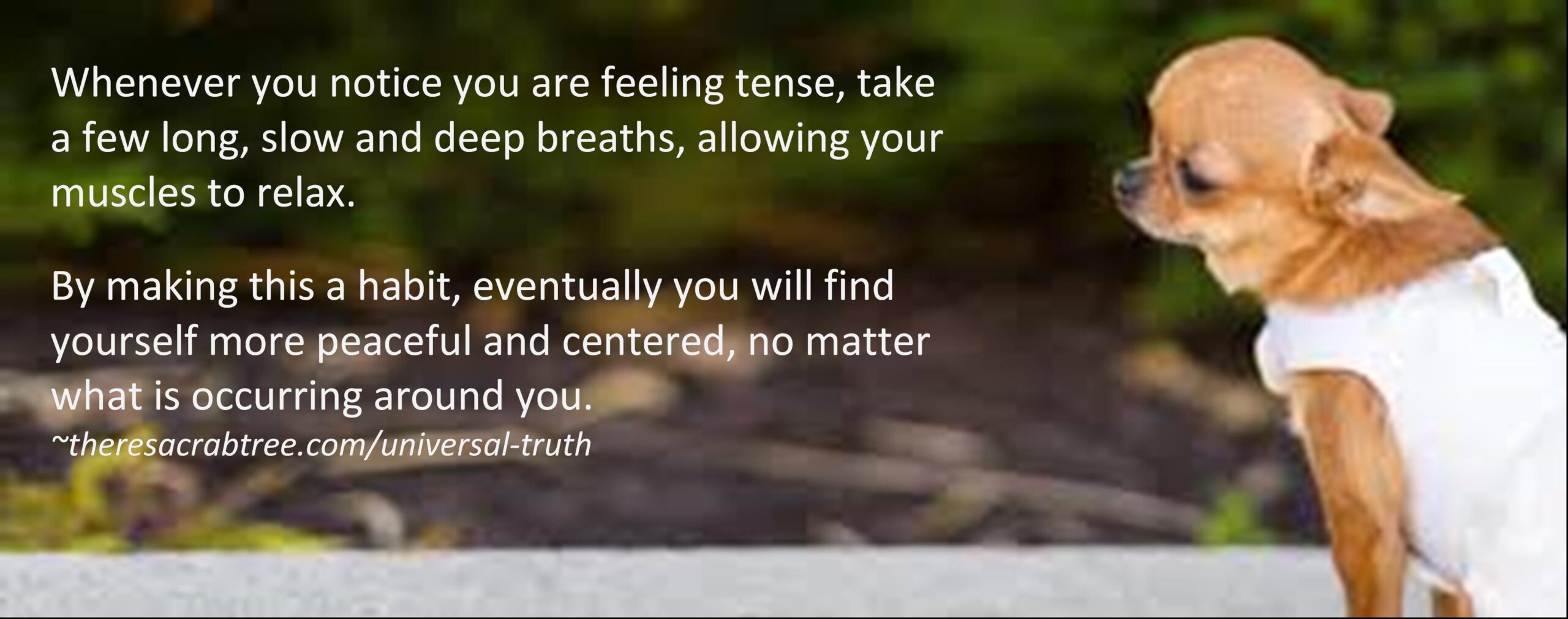 Read more about the article Breath Exercise