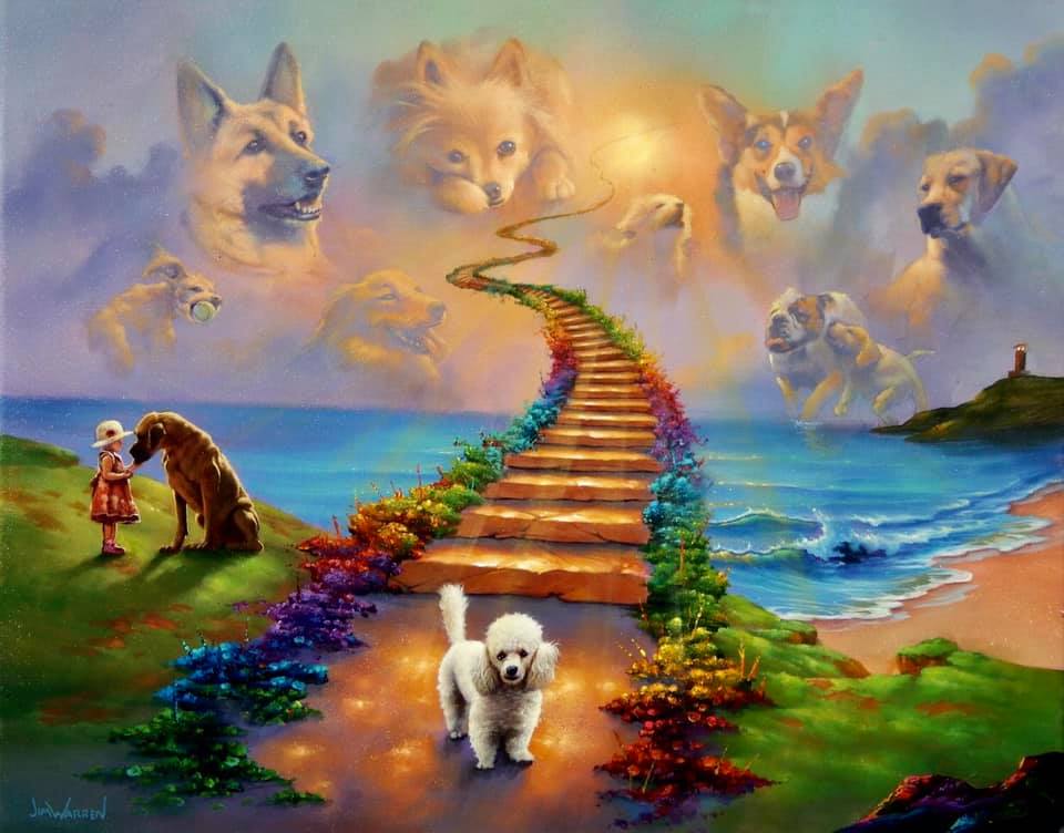 Read more about the article Question about the Rainbow Bridge…