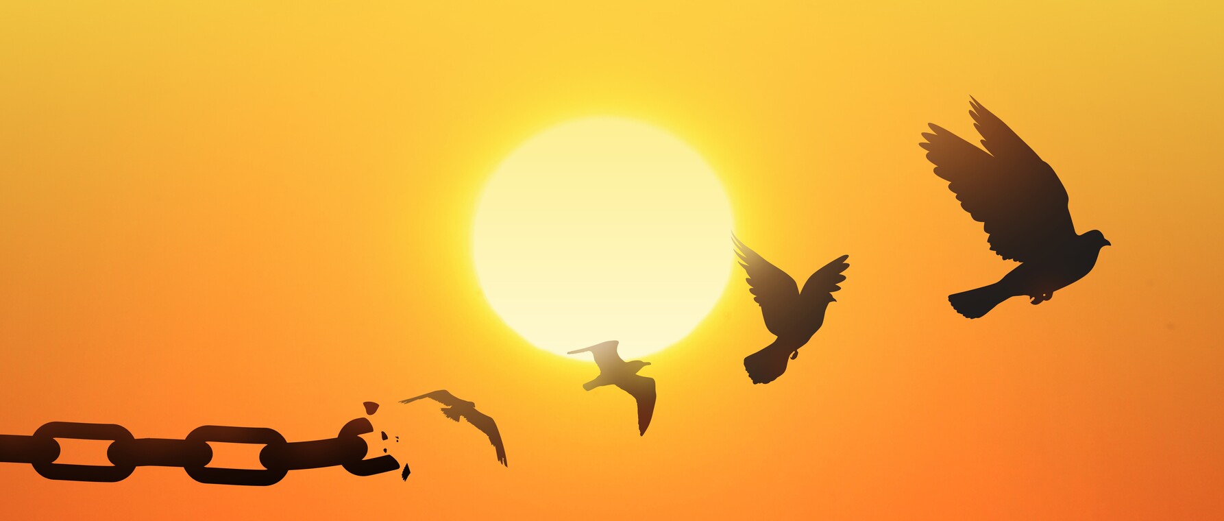 Read more about the article Forgiveness Exercise