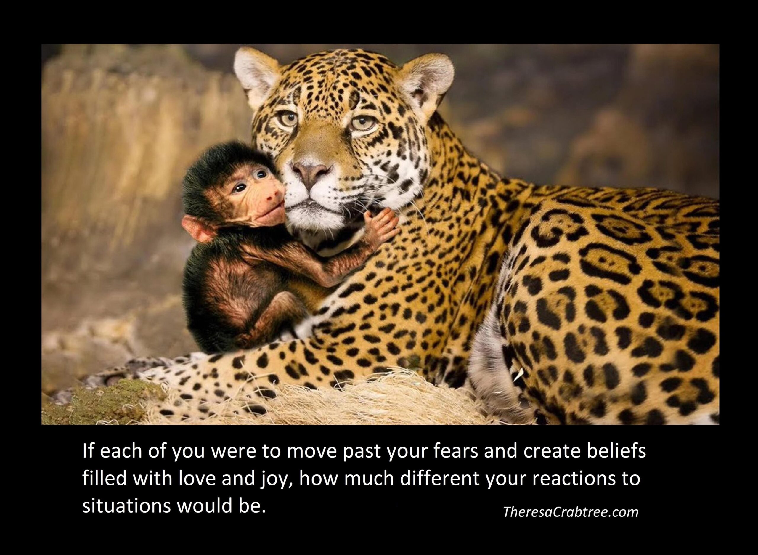 Read more about the article Which will you choose?