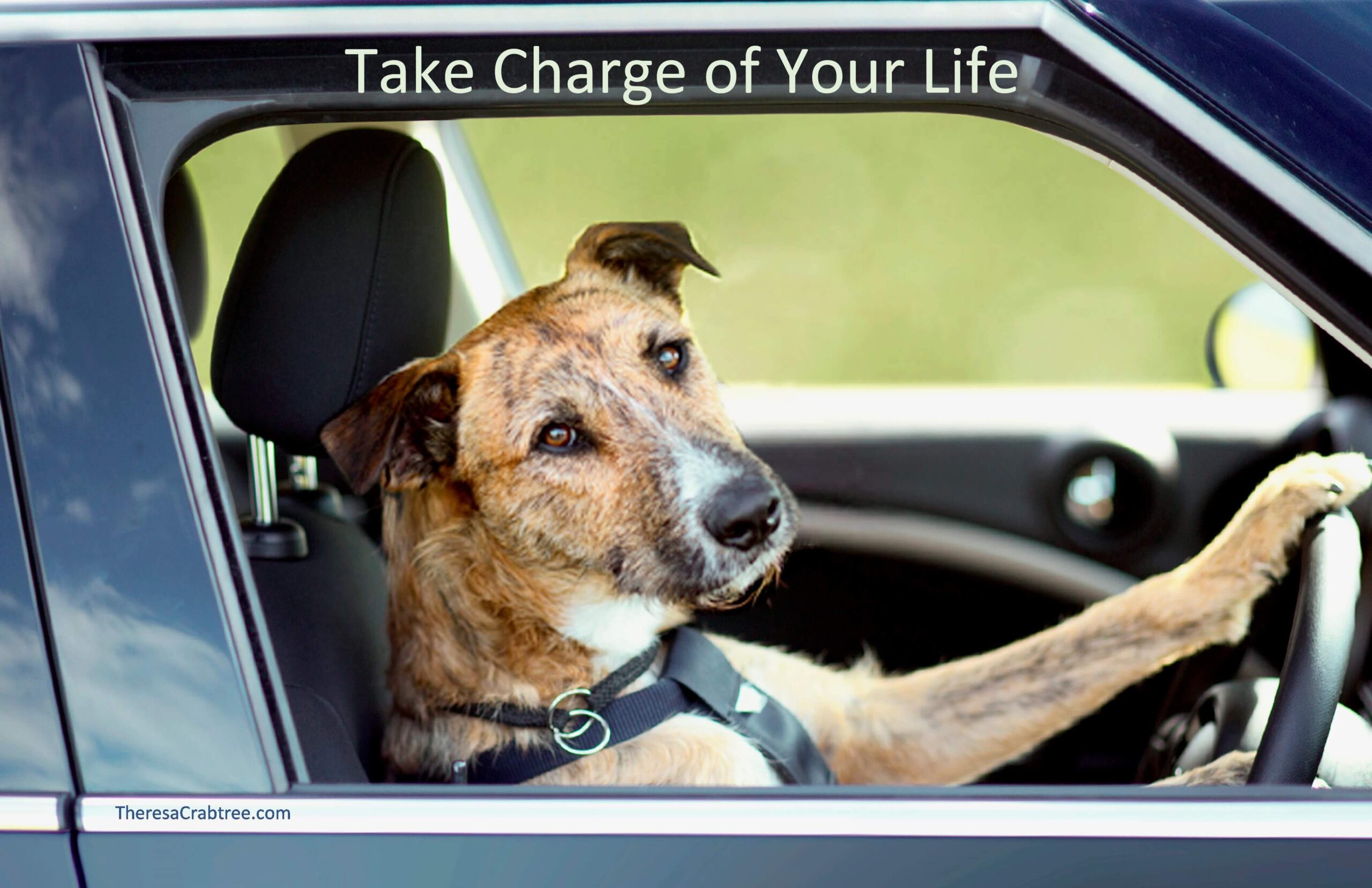 Read more about the article Take Charge of Your Life