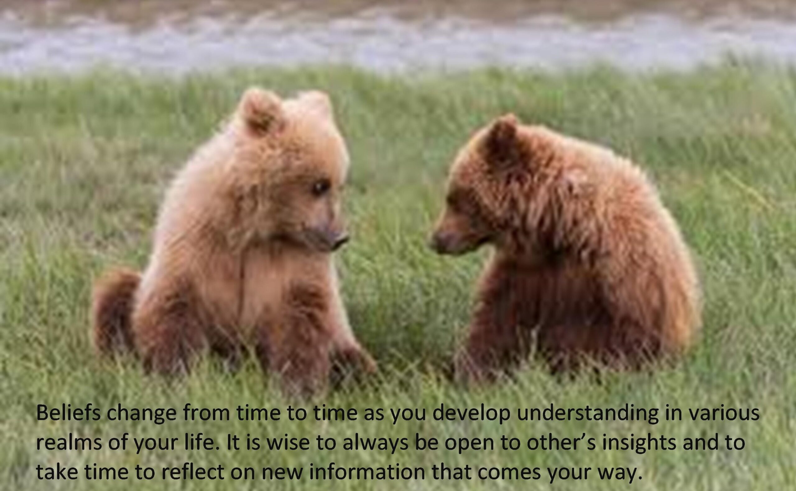 Read more about the article Beliefs