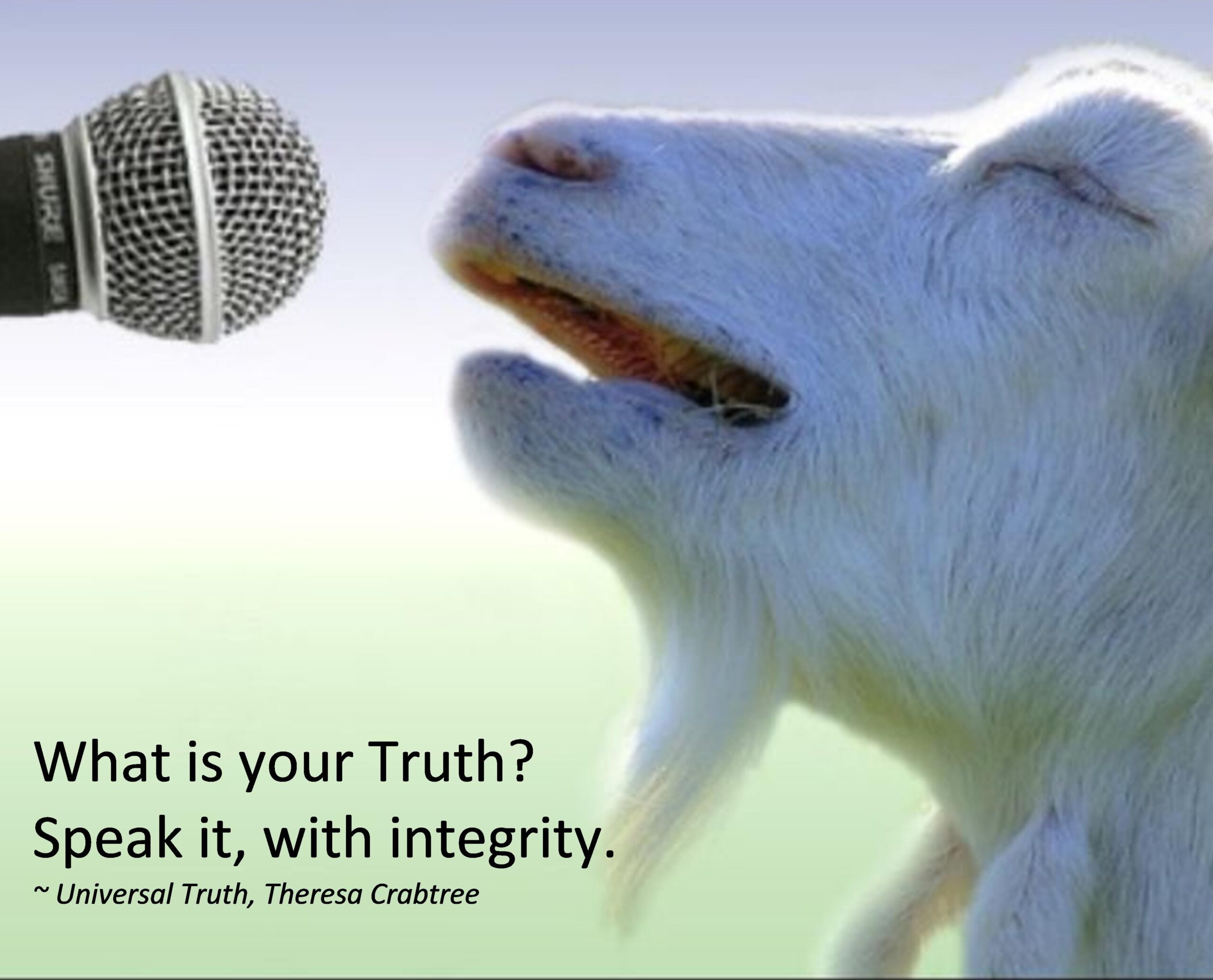 You are currently viewing Speak with Integrity