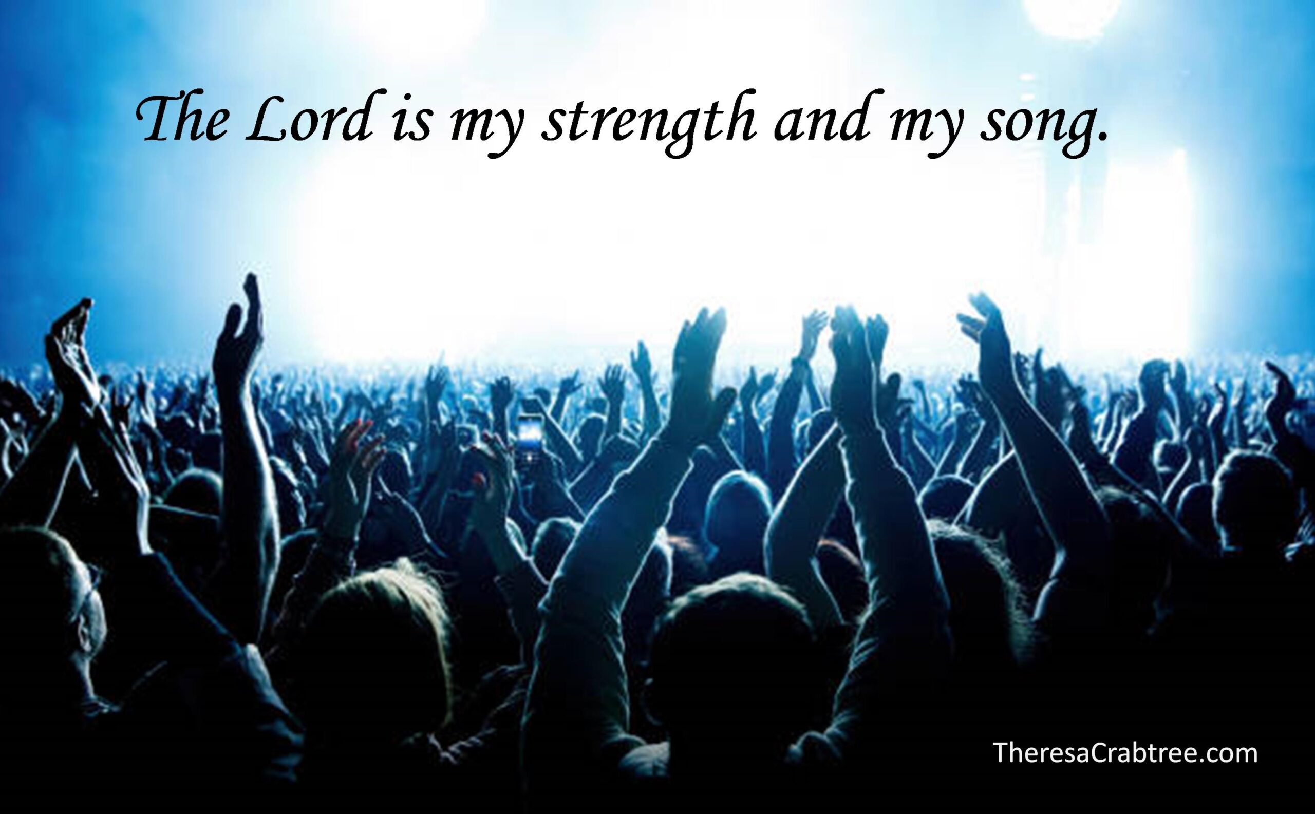 Read more about the article What is the source of your strength and joy?