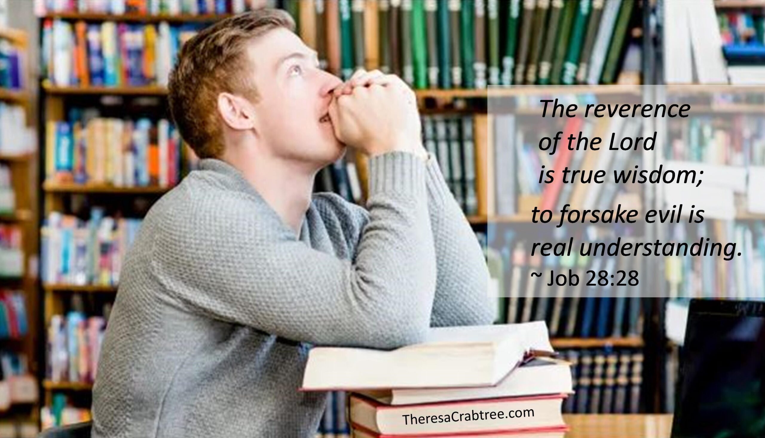 Read more about the article The Way to Wisdom