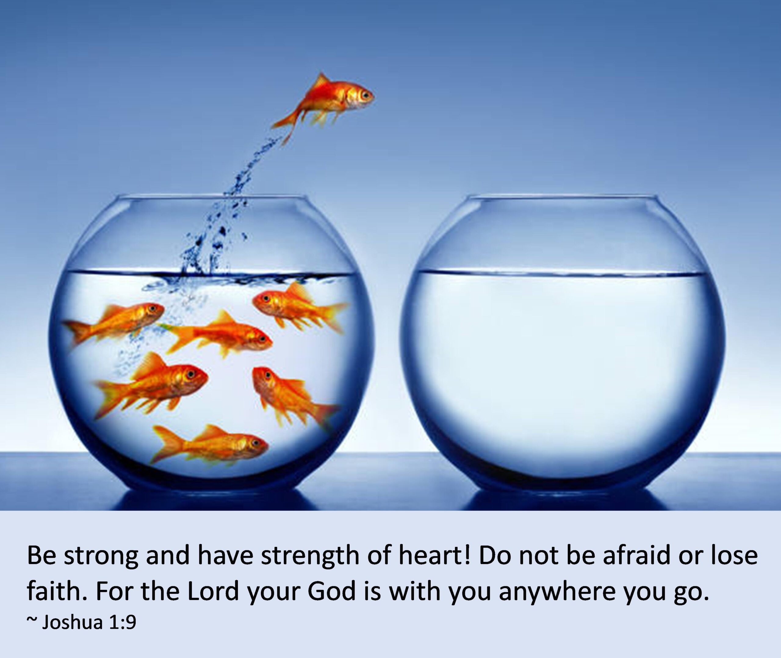 Read more about the article Leap of Faith