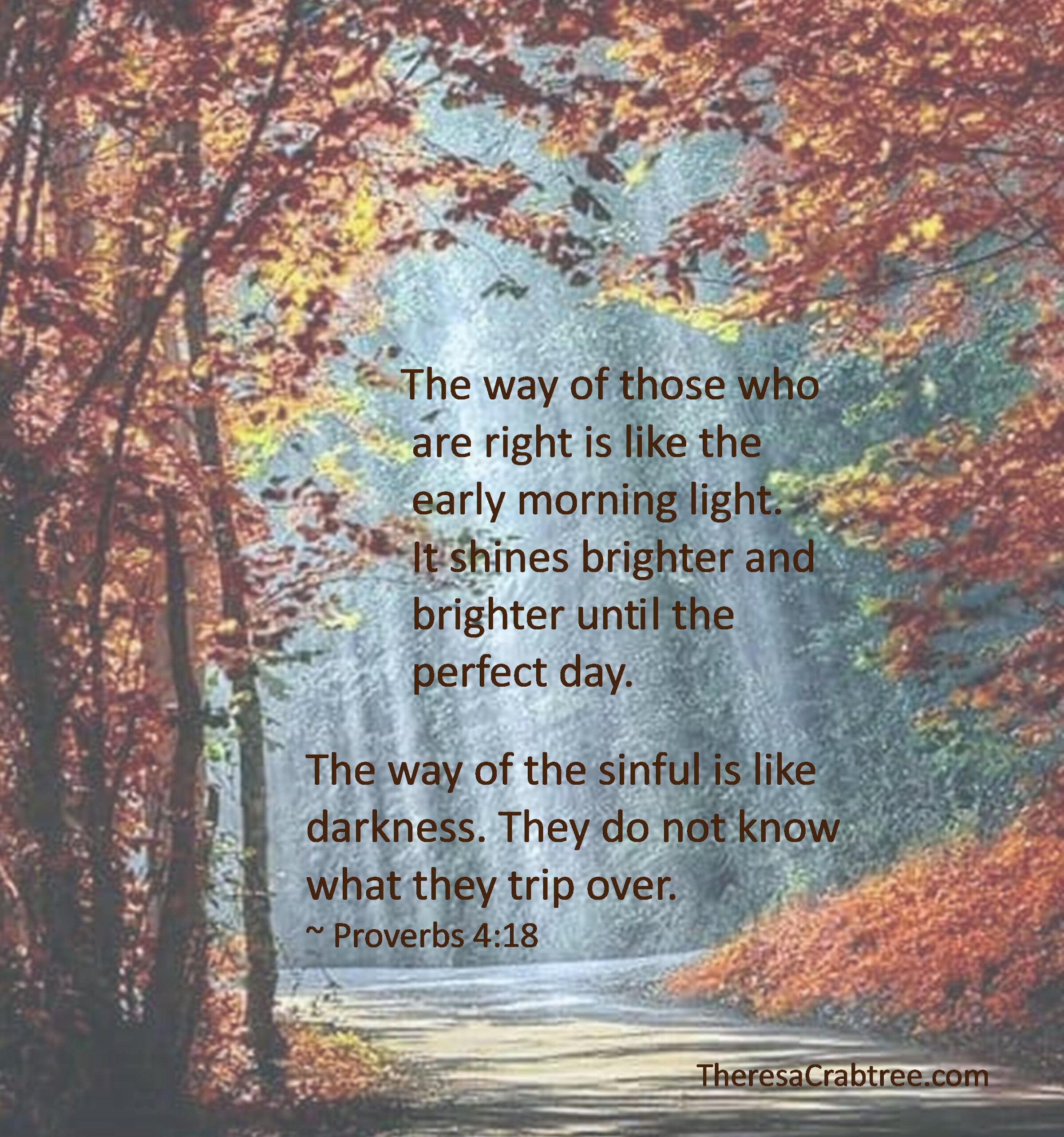 Read more about the article Light or Dark Way