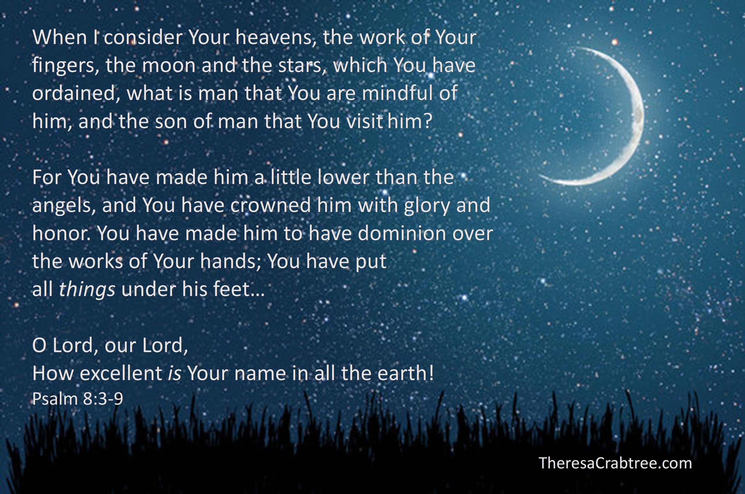 Read more about the article The wonder of creation