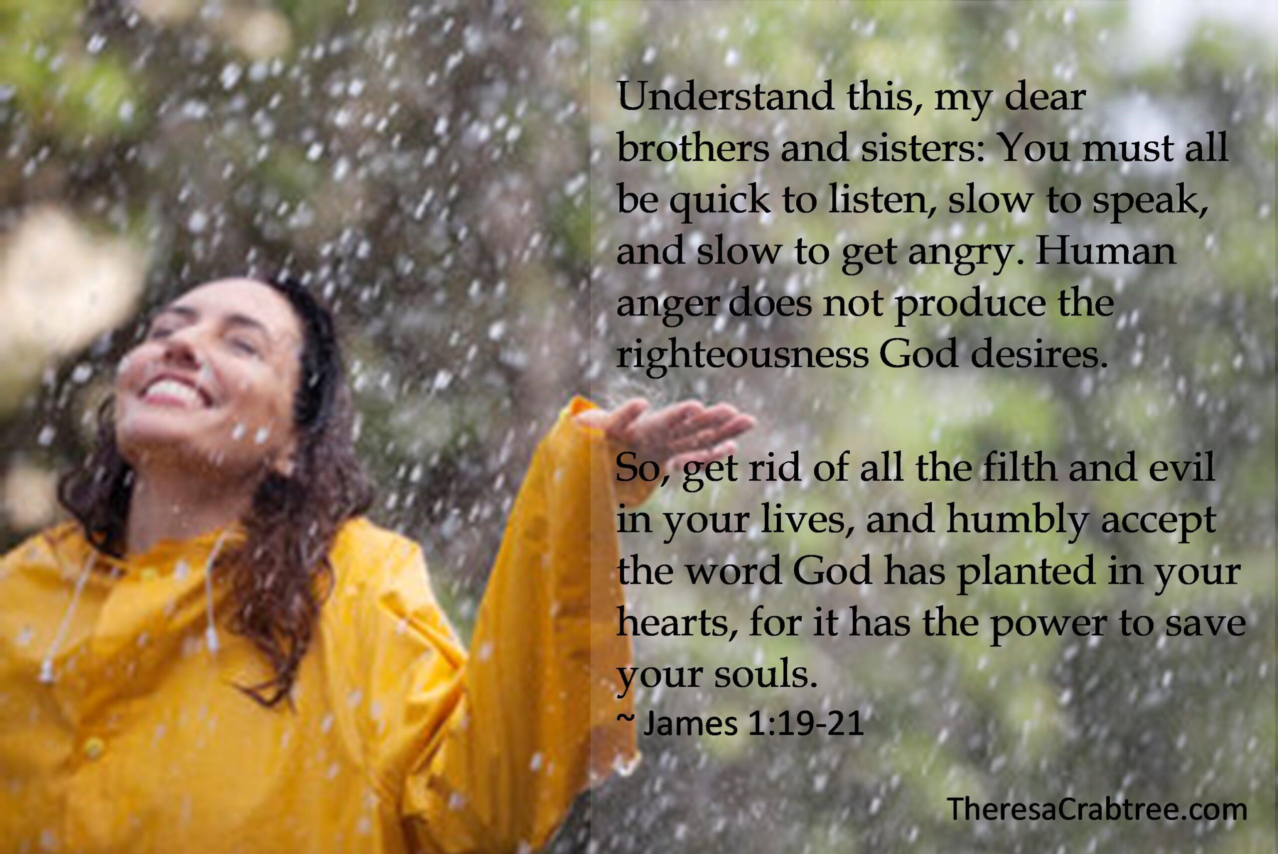 Read more about the article Slow to Anger