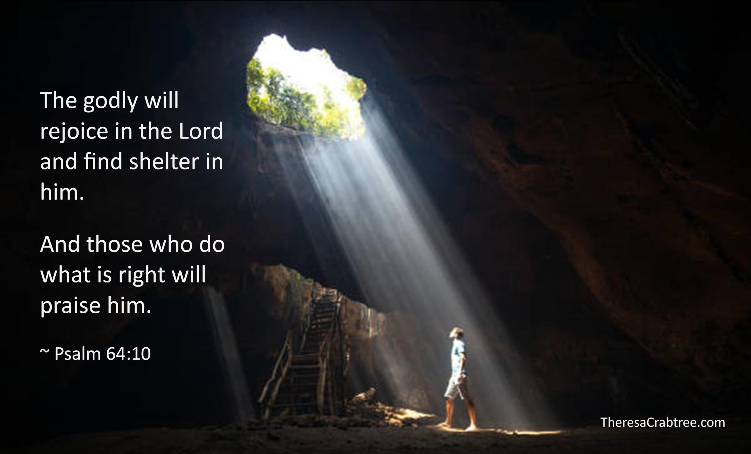 Read more about the article Shelter