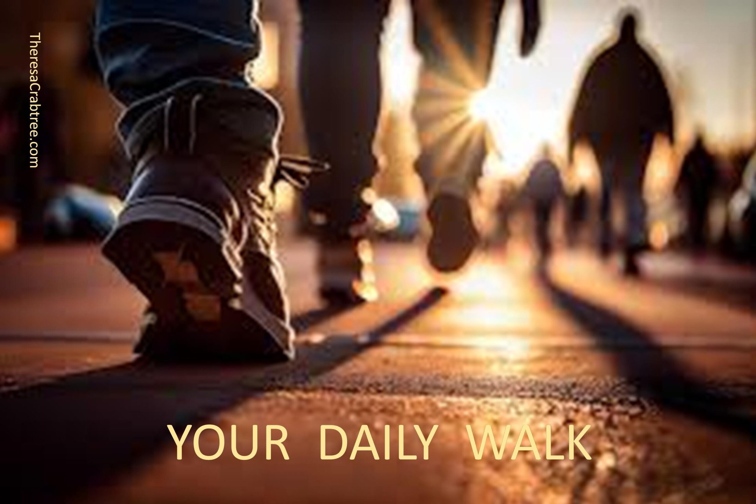 Read more about the article Your Daily Walk