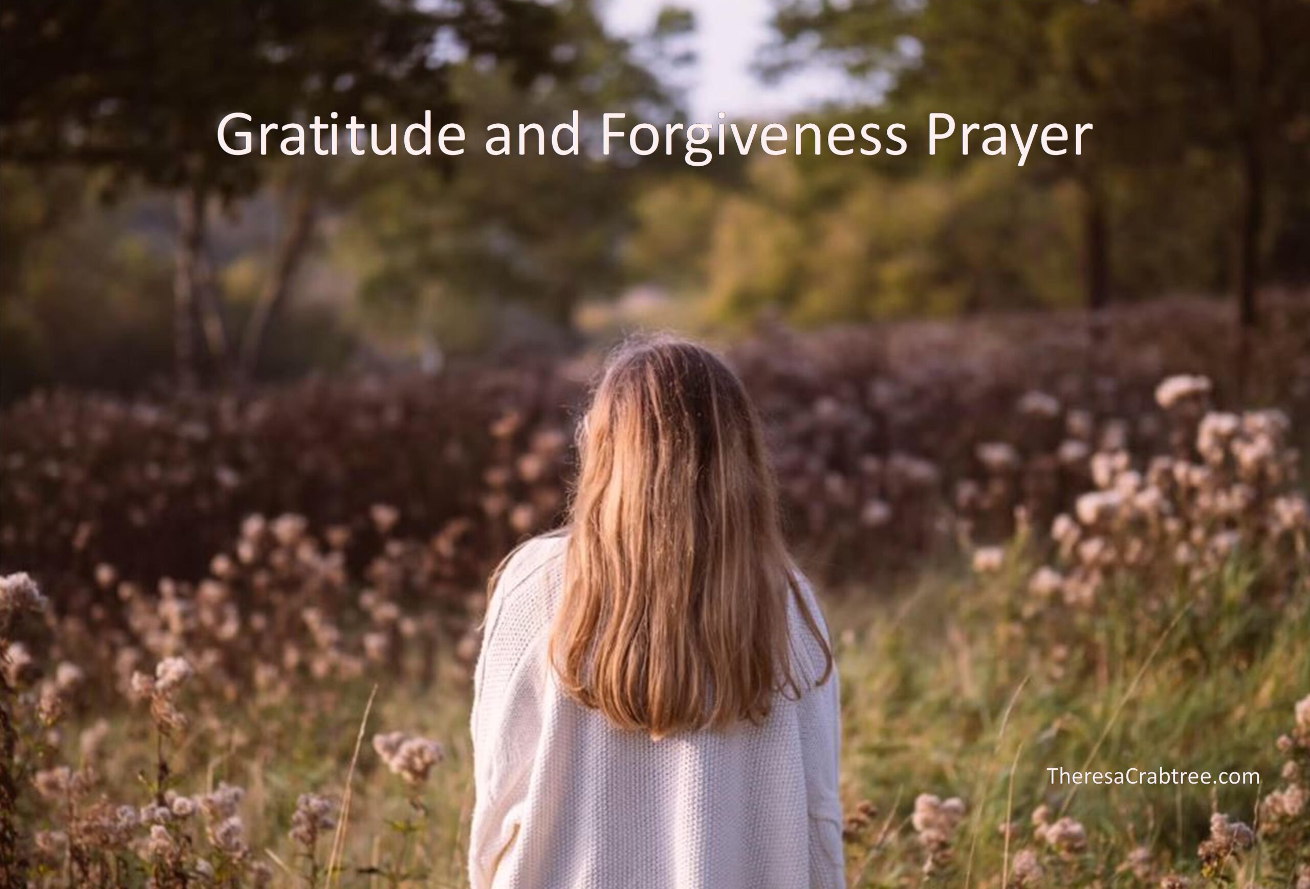 Read more about the article Gratitude and Forgiveness Prayer