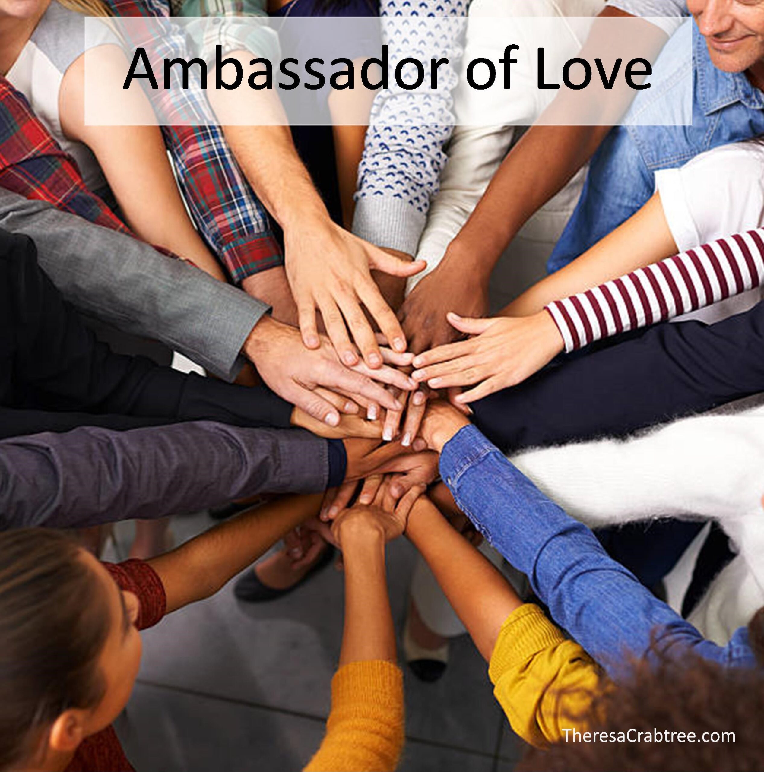Read more about the article Ambassador of Love