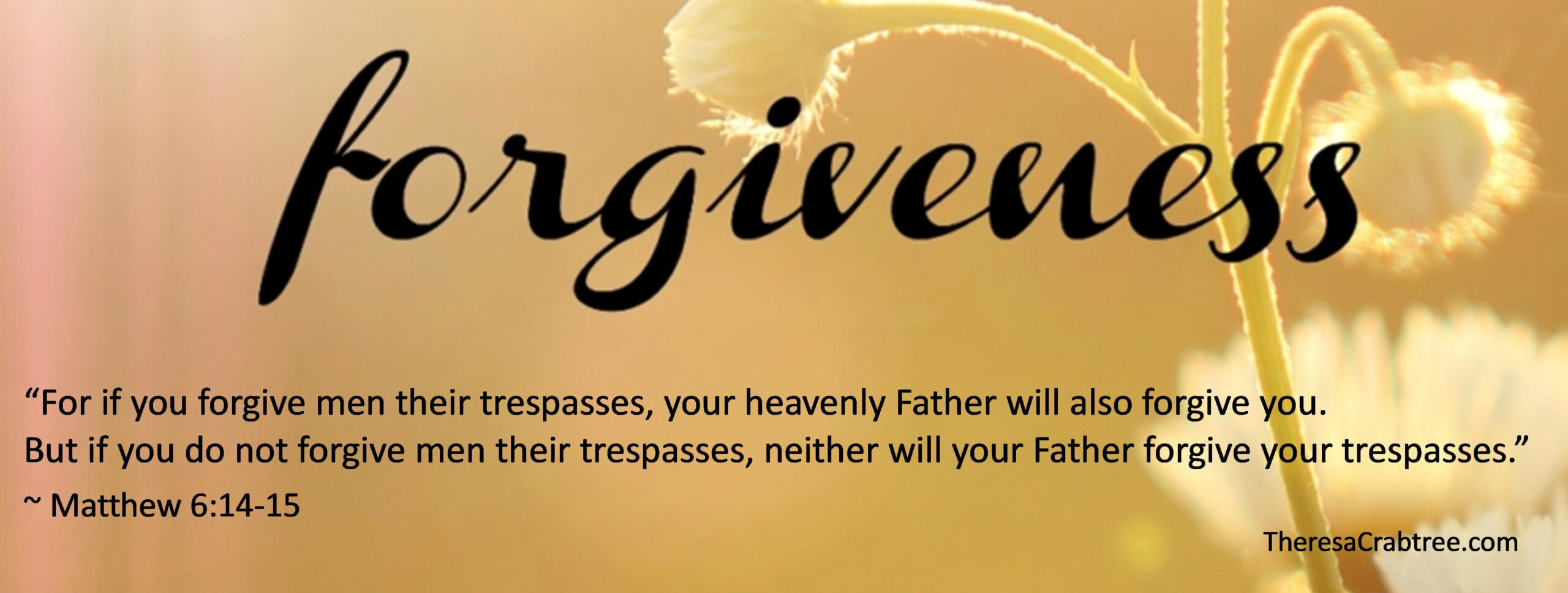 Read more about the article Forgiveness