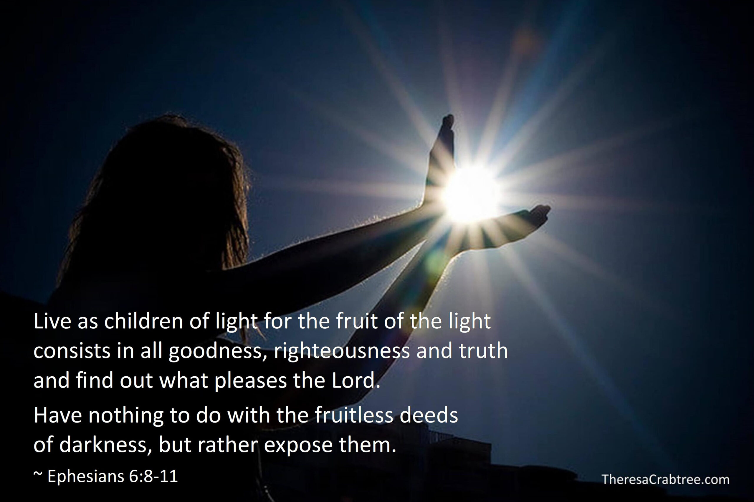 Read more about the article Children of Light