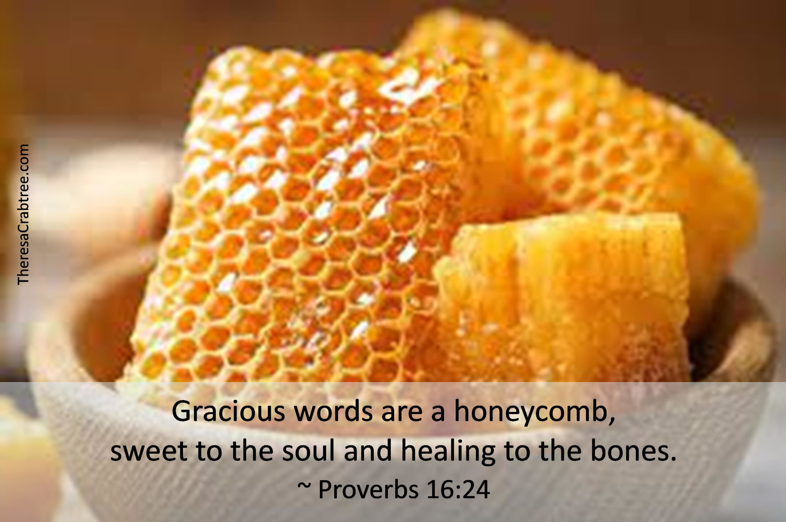 Read more about the article Gracious Words
