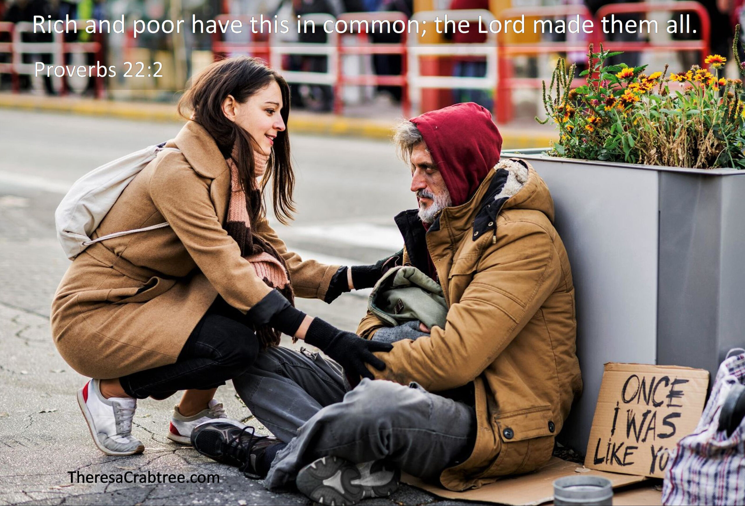 Read more about the article Rich and Poor