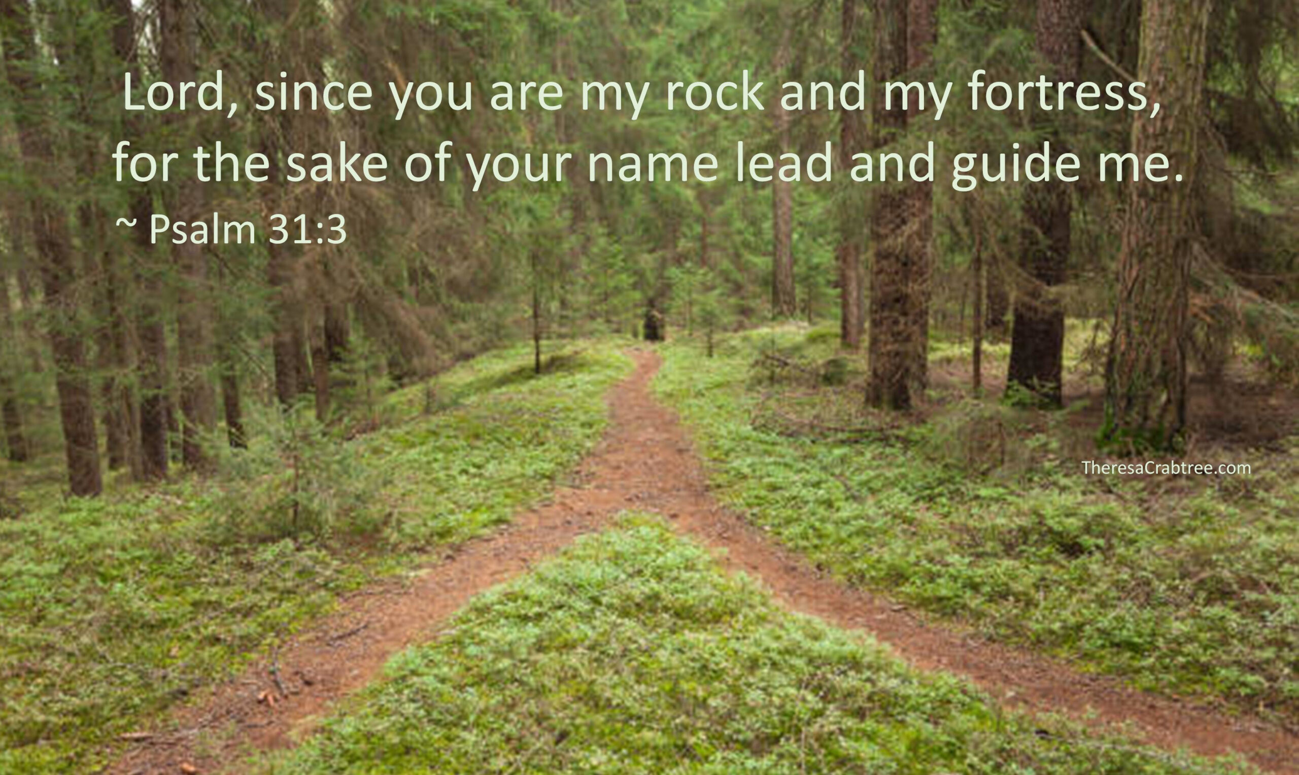 Read more about the article Lead and Guide Me