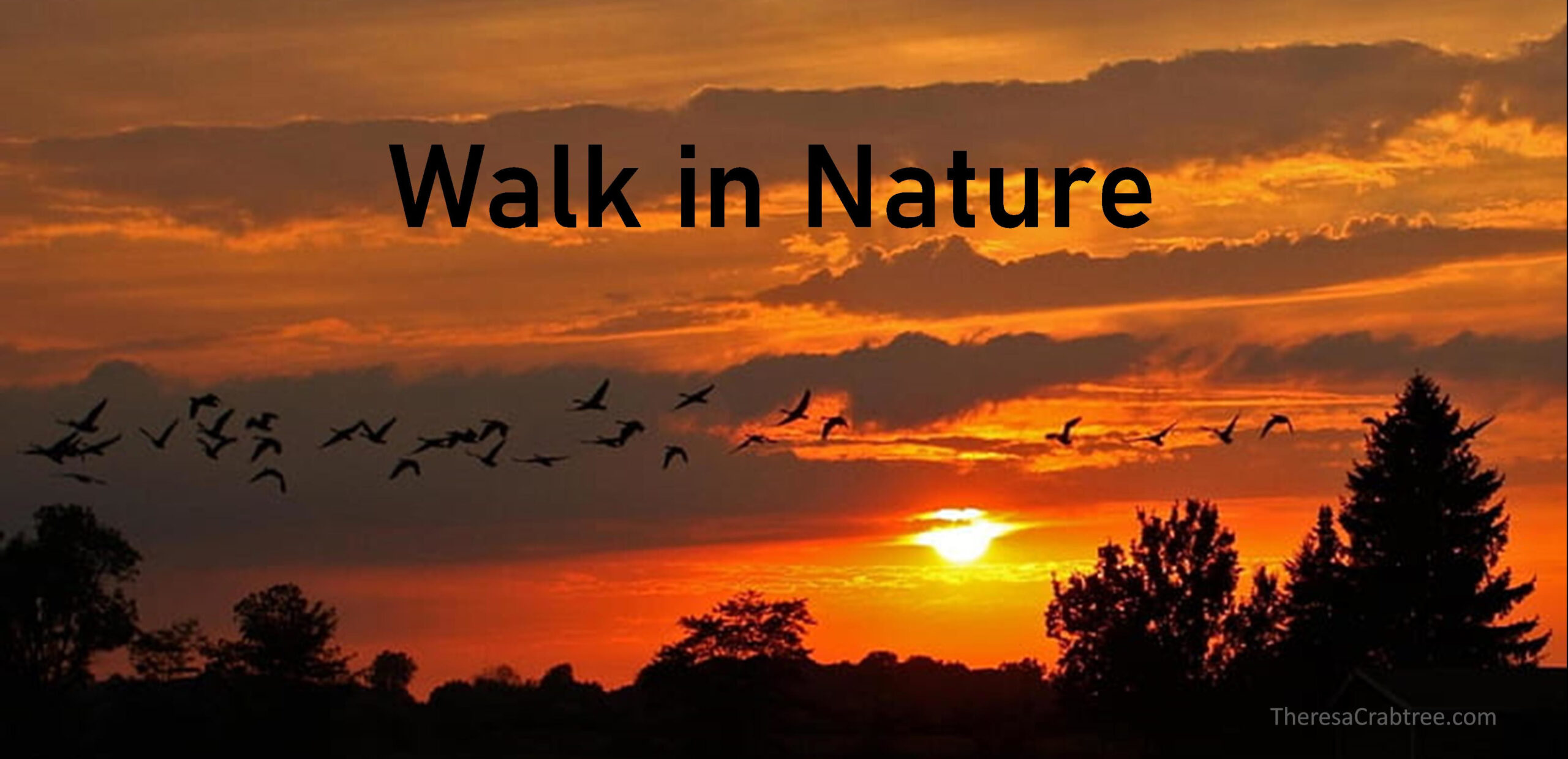 Read more about the article Walk in Nature