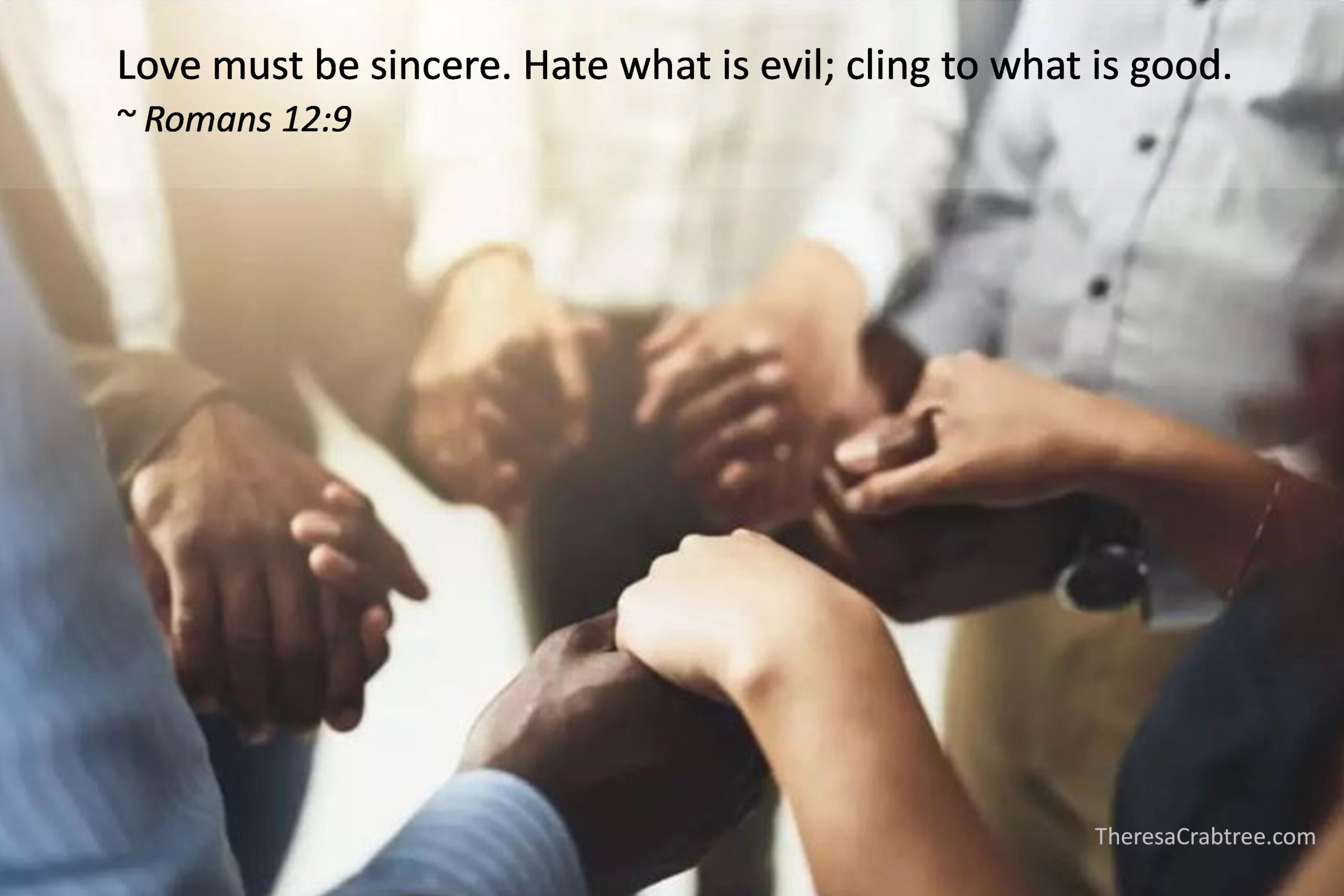 Read more about the article Sincere Love