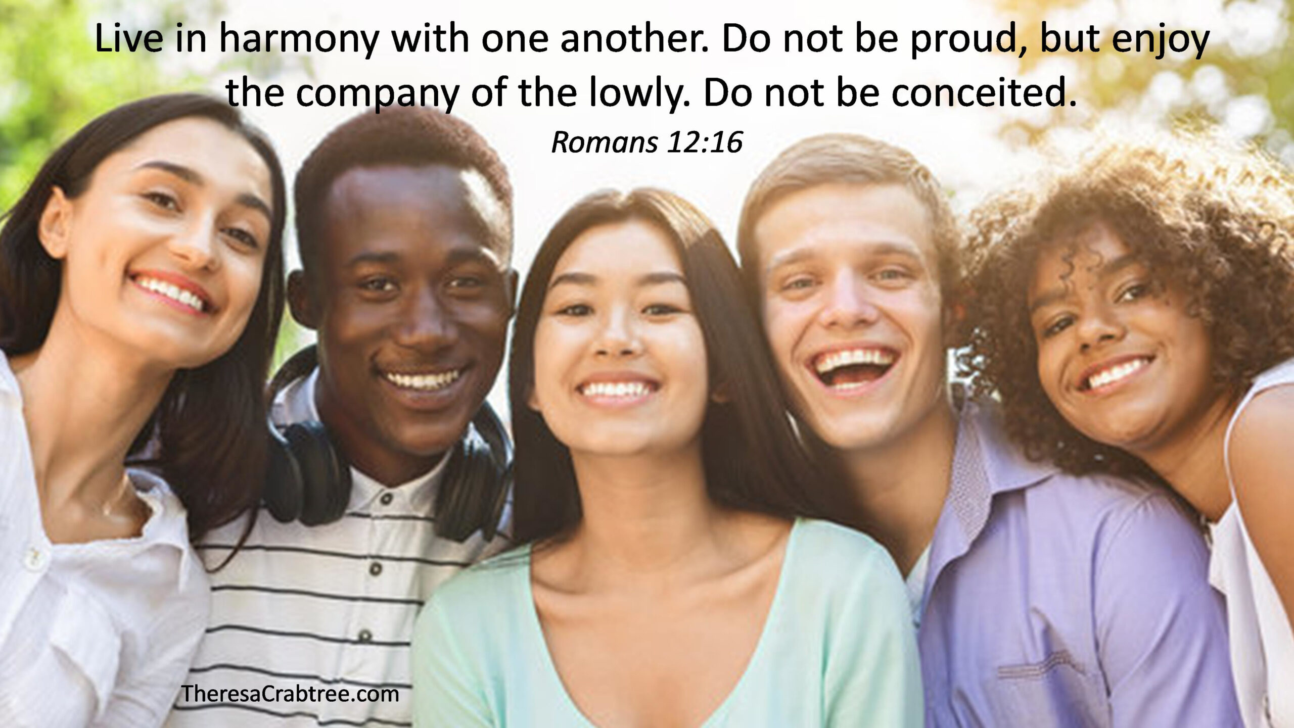 Read more about the article Live in Harmony