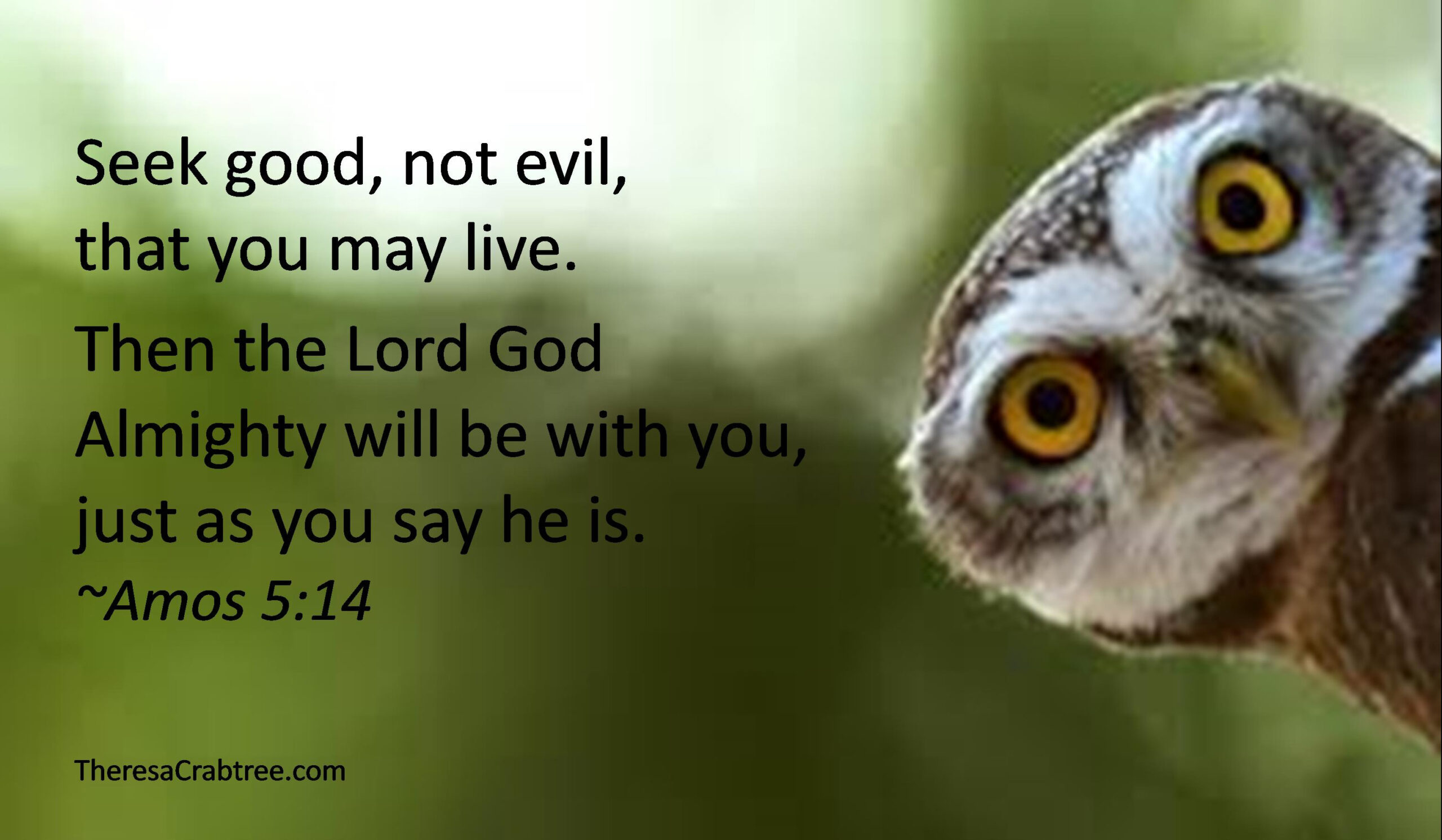You are currently viewing Seek Good