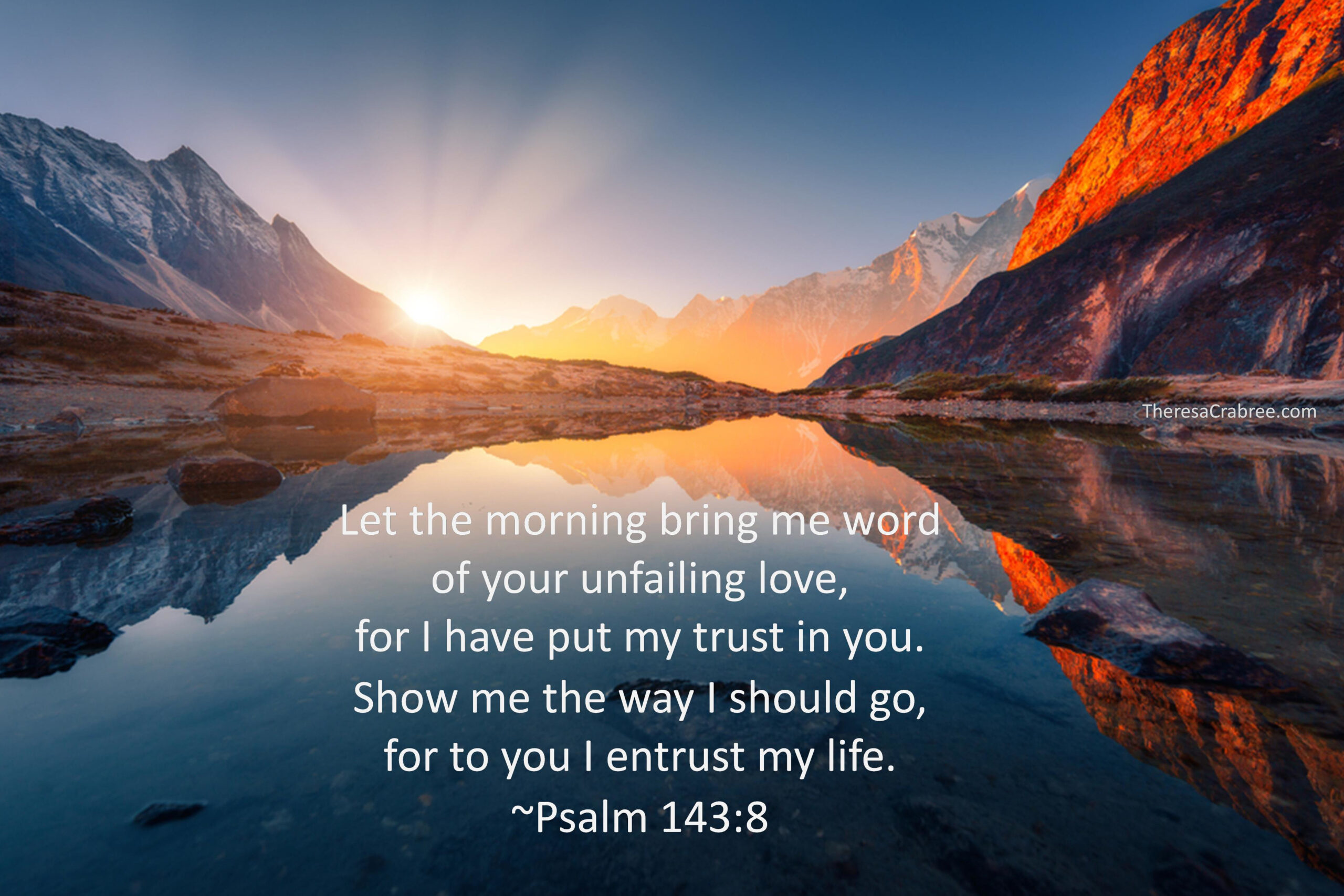Read more about the article Show Me the Way