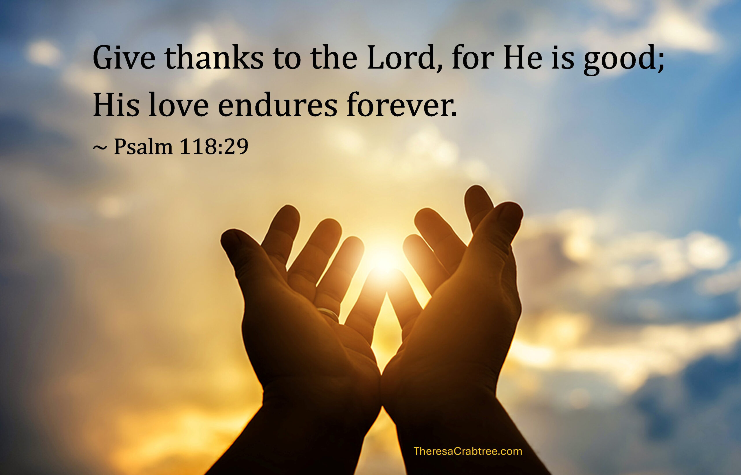 Read more about the article Give Thanks