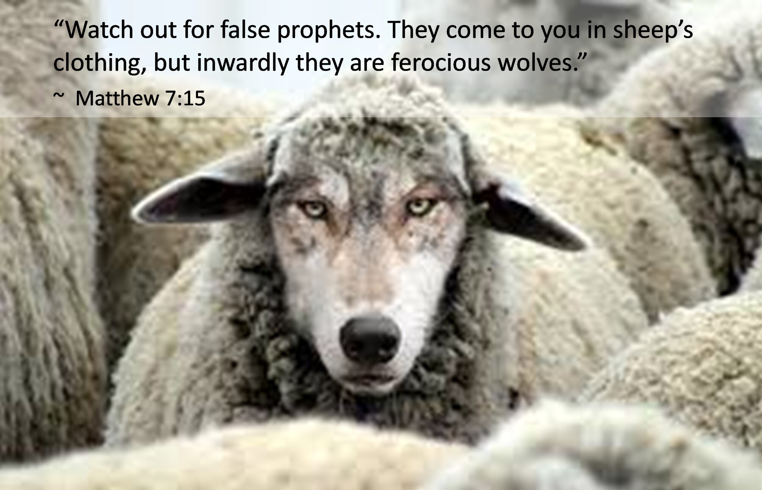 Read more about the article Wolves in Sheep’s Clothing