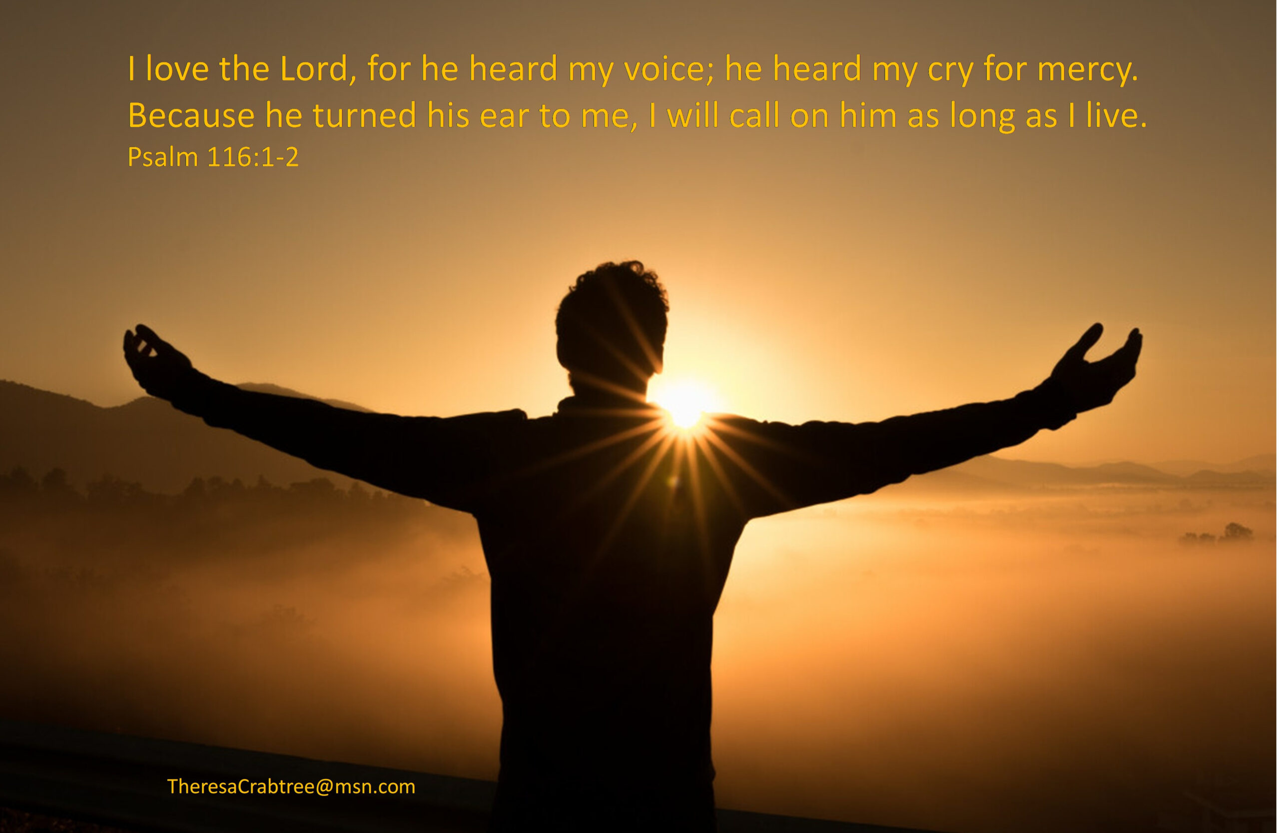 Read more about the article He heard my voice!