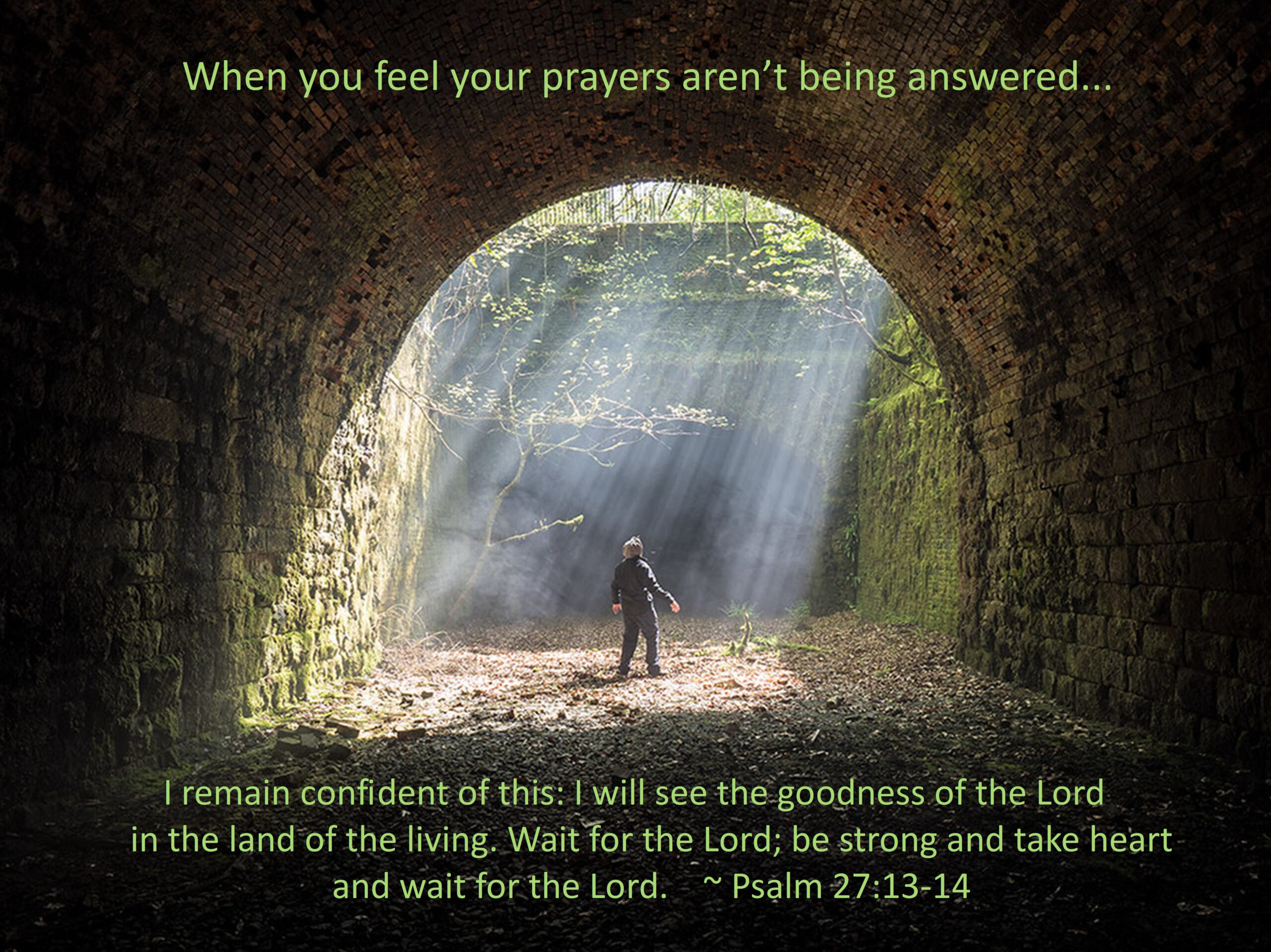 Read more about the article Wait for the Lord