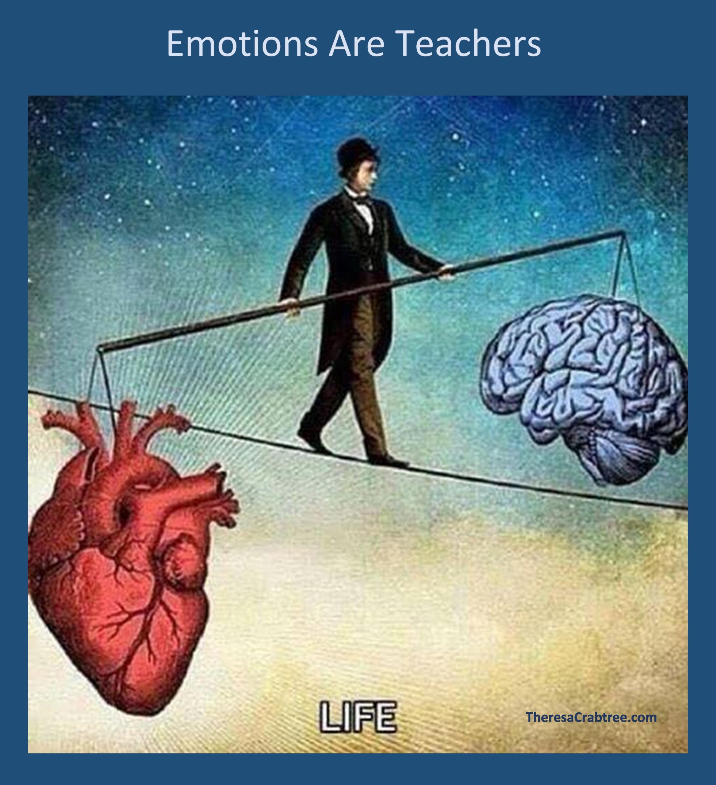 Read more about the article Emotions are Teachers