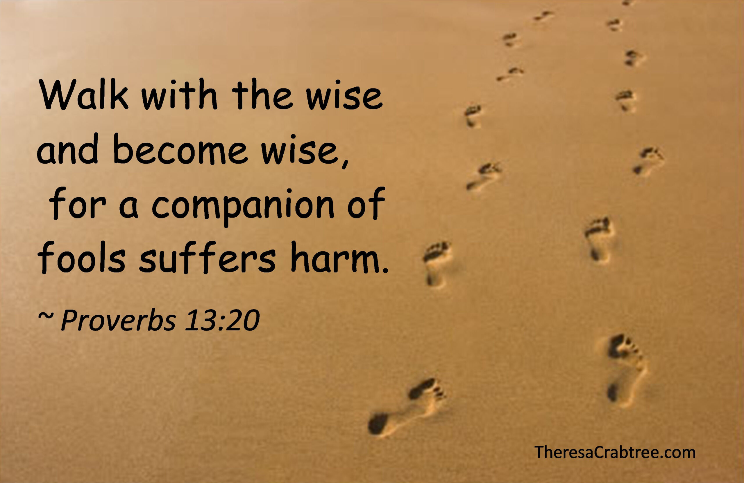Read more about the article Walk with the Wise