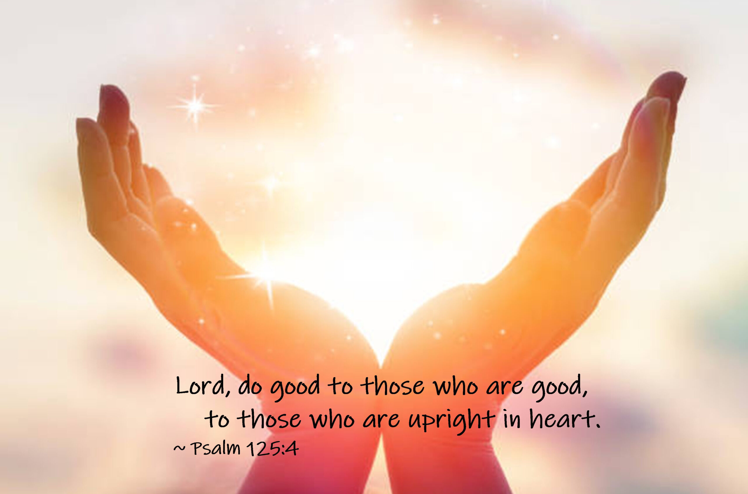 Read more about the article A blessing for you today!