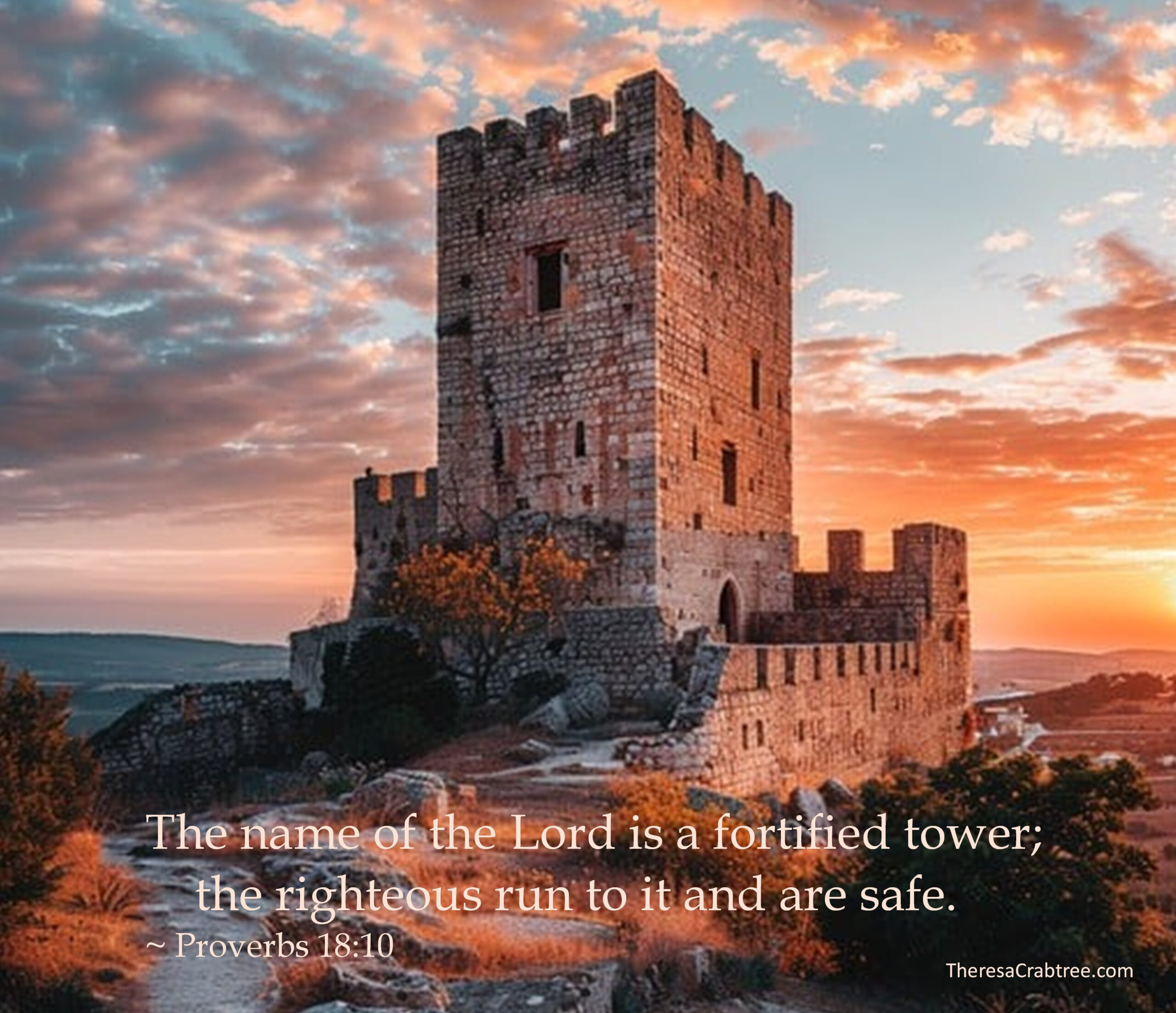 Read more about the article Tower of Safety