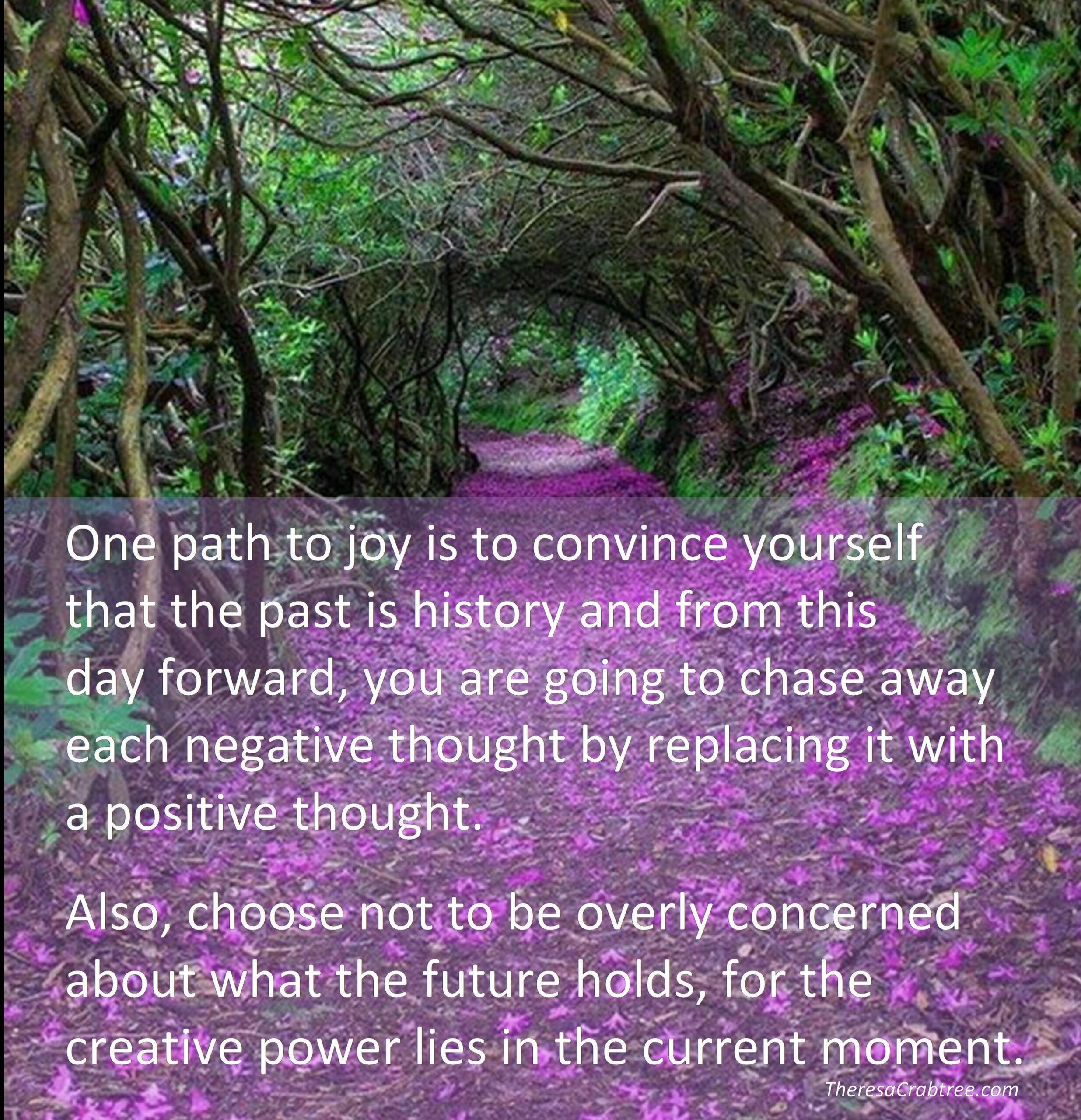 Read more about the article A Path to Joy