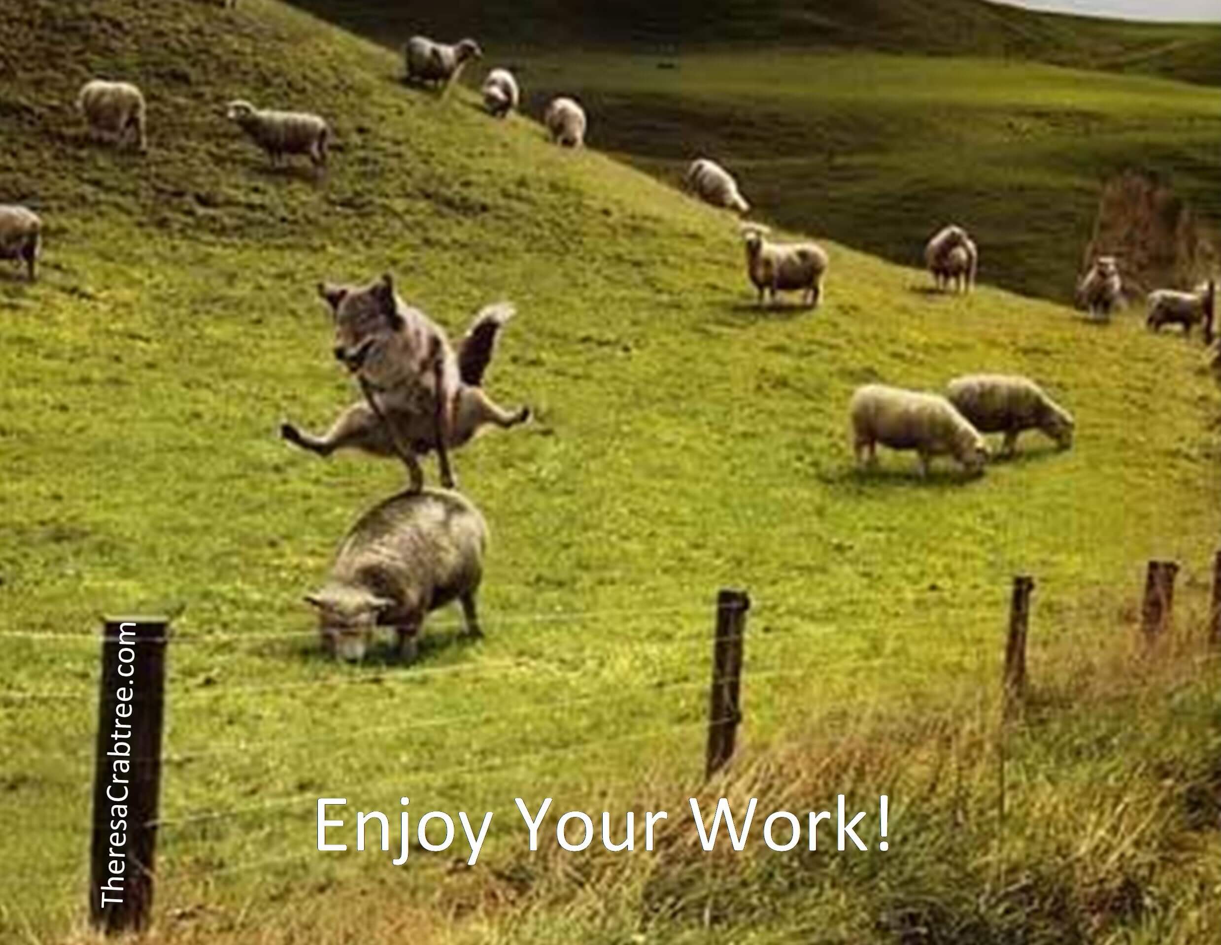 Read more about the article What is your passion?