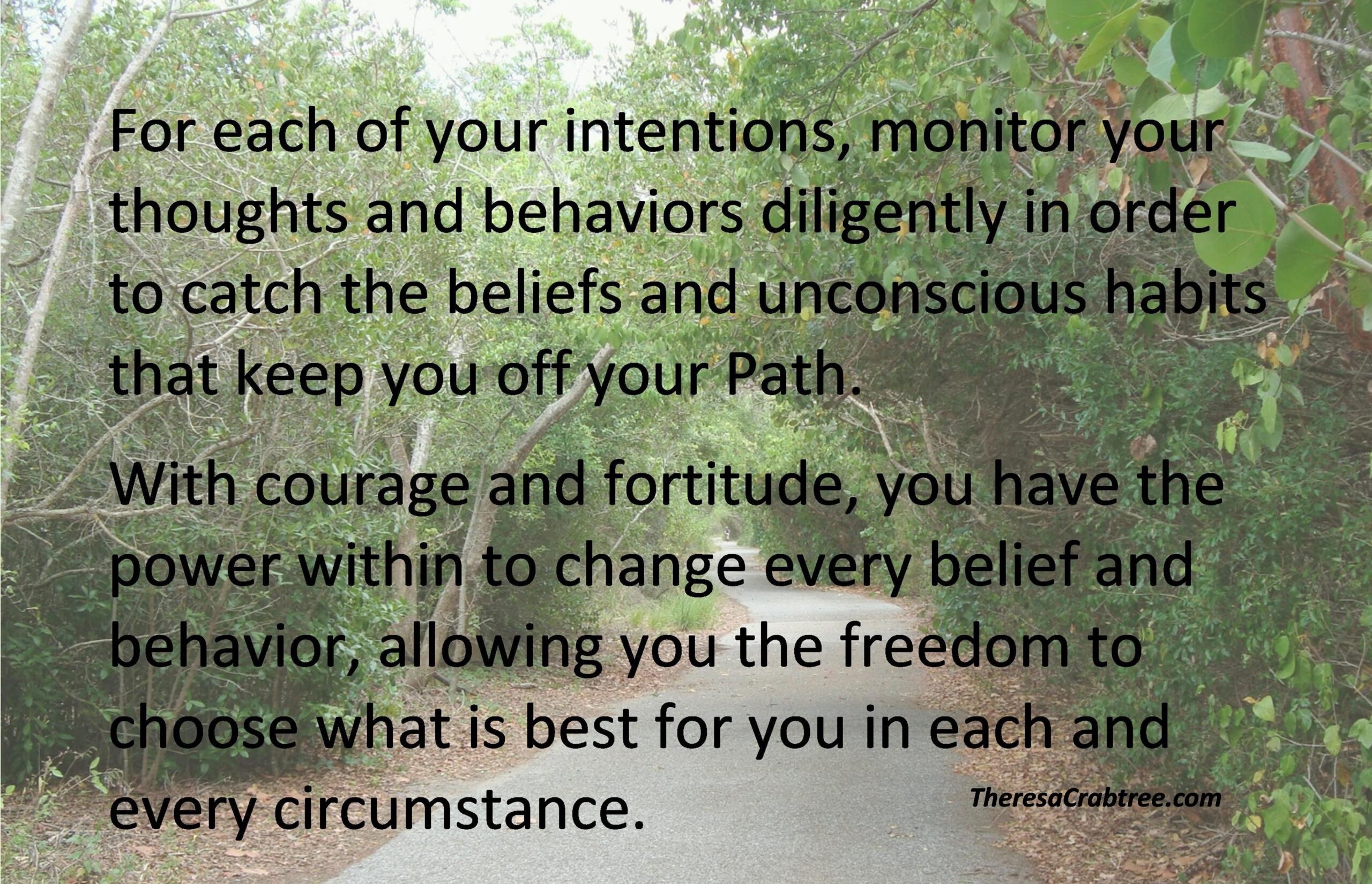 Read more about the article Monitor Intentions